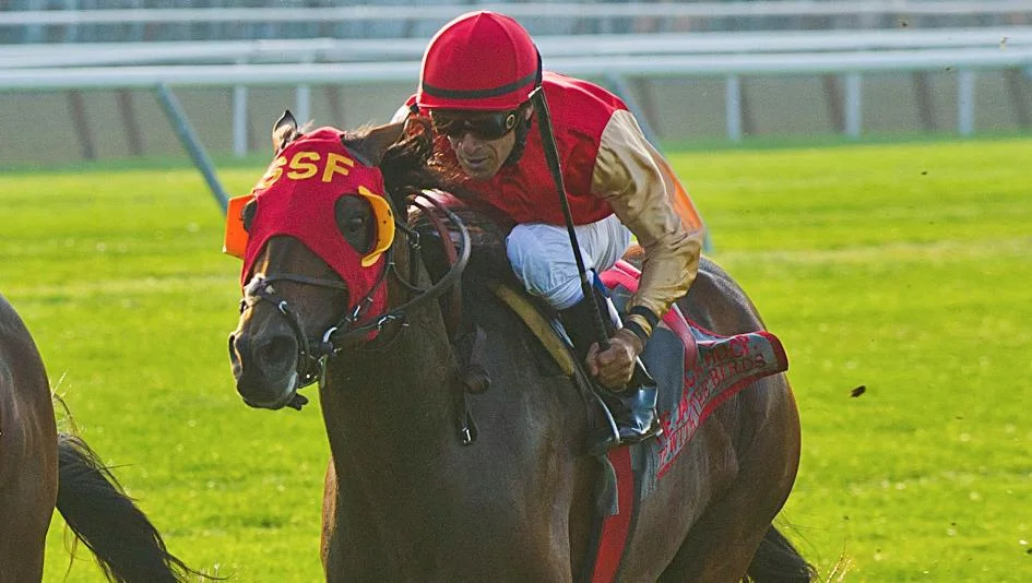 Upwiththebirds_2013jamaicEclipse.jpg