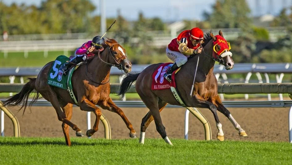KZI190914_Woodbine_Mile_005.jpg