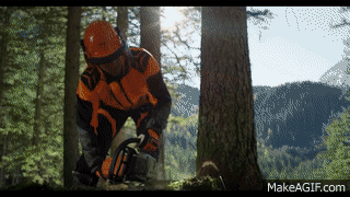 The_chainsaw_STIHL_MS_261_C_M.gif