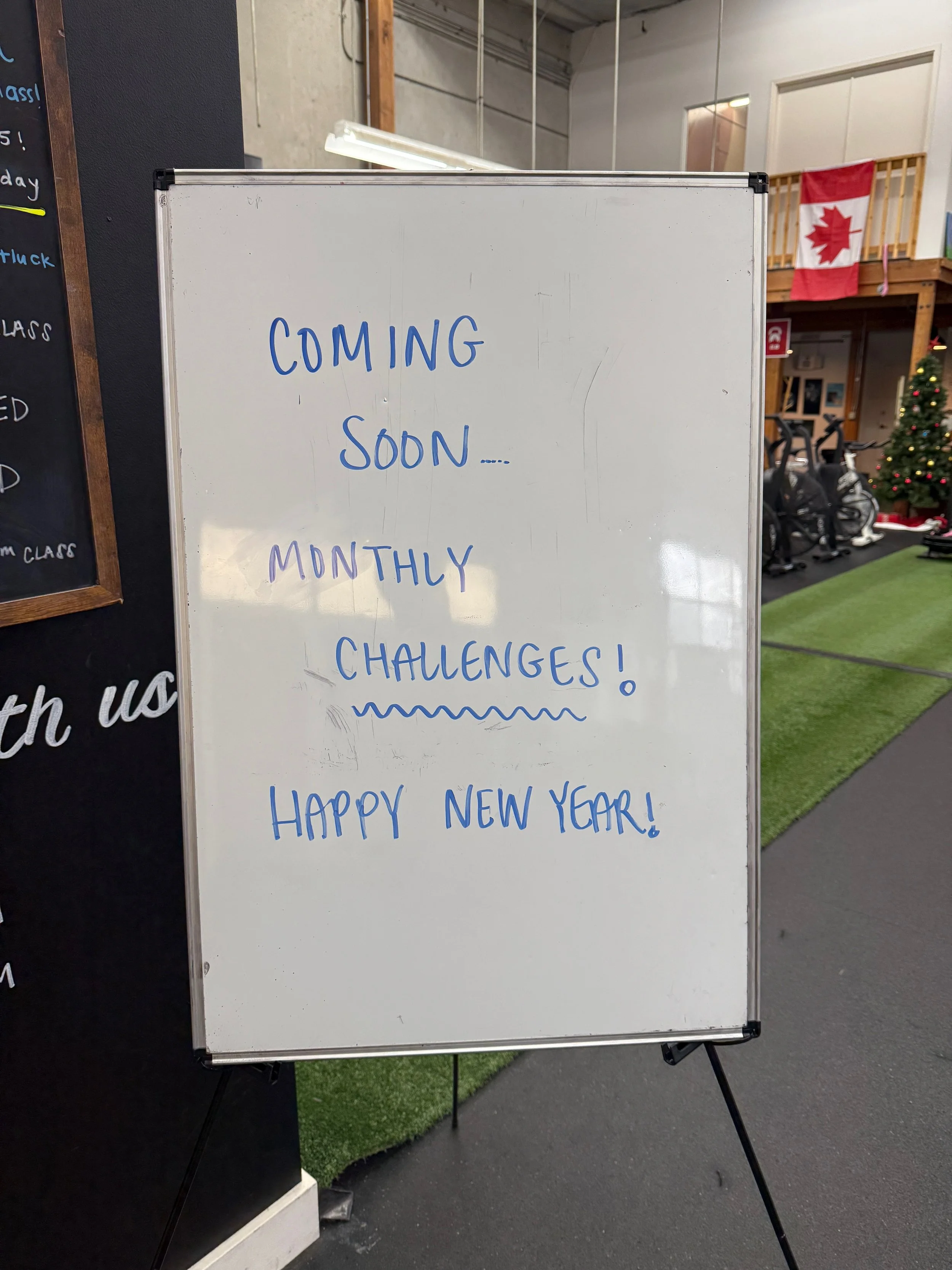 2025 Programming + MORE