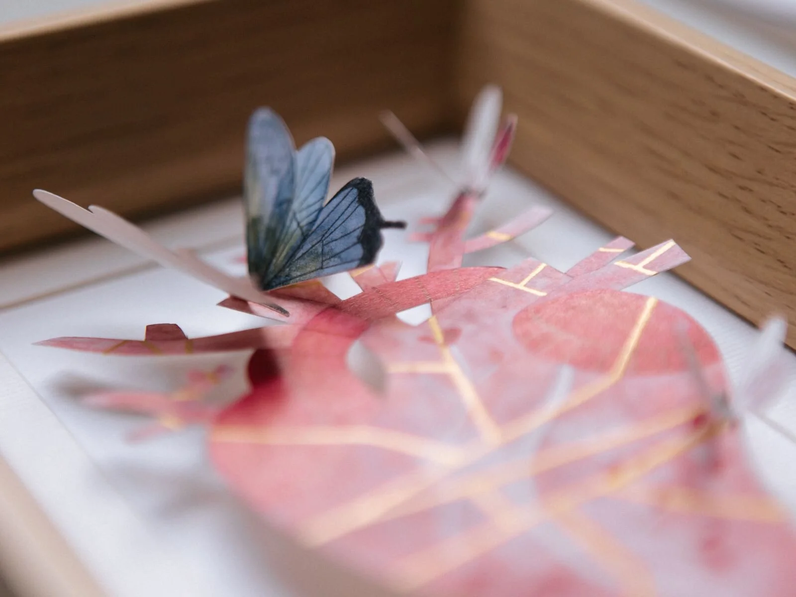 A80907F8-A909-48DC-95E9-4E07ED00ECEE