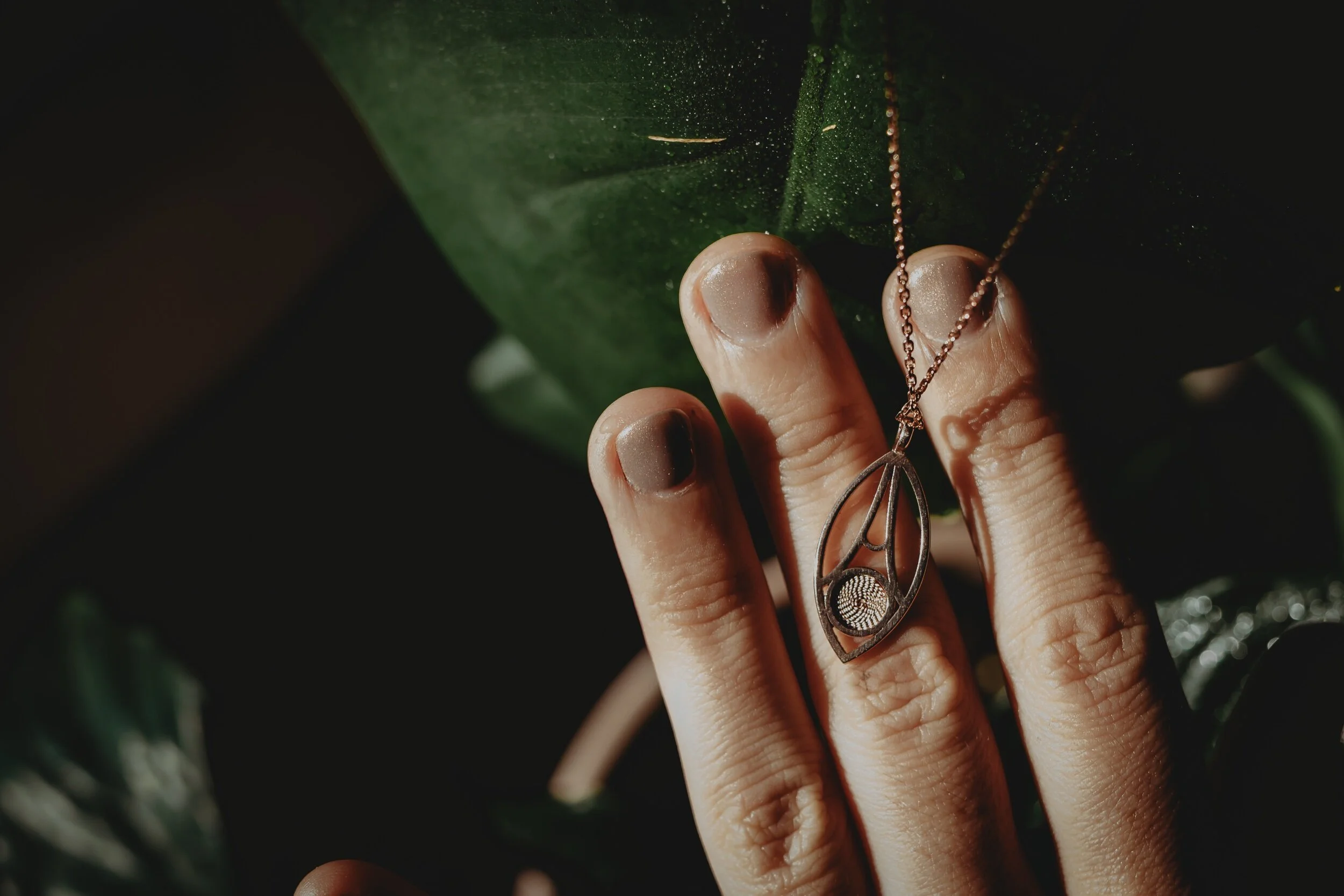 6D9E24B1-19DA-4805-8836-0AB1D309140B