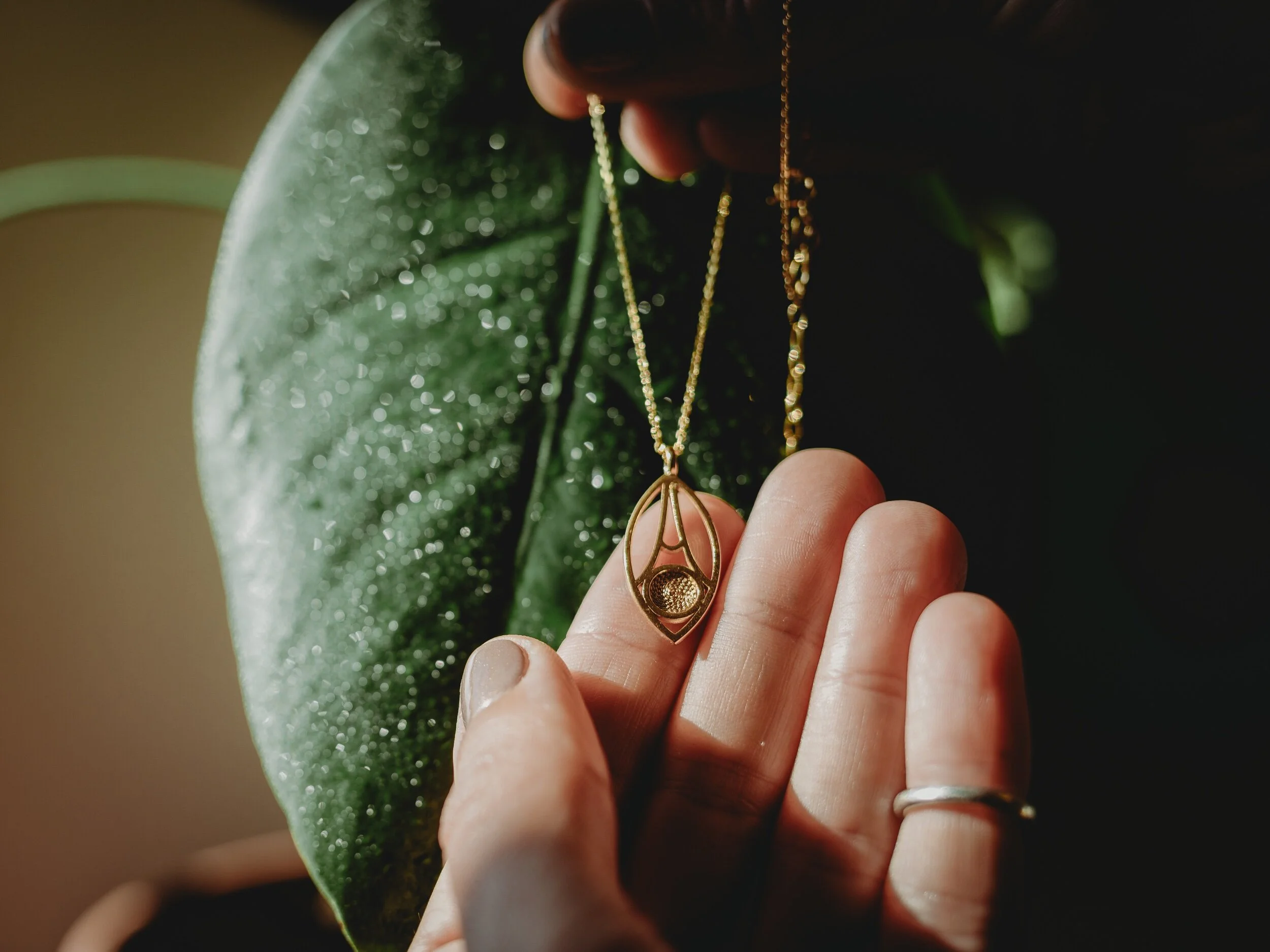 478912D3-238C-41B9-8421-EED23C1AACF2