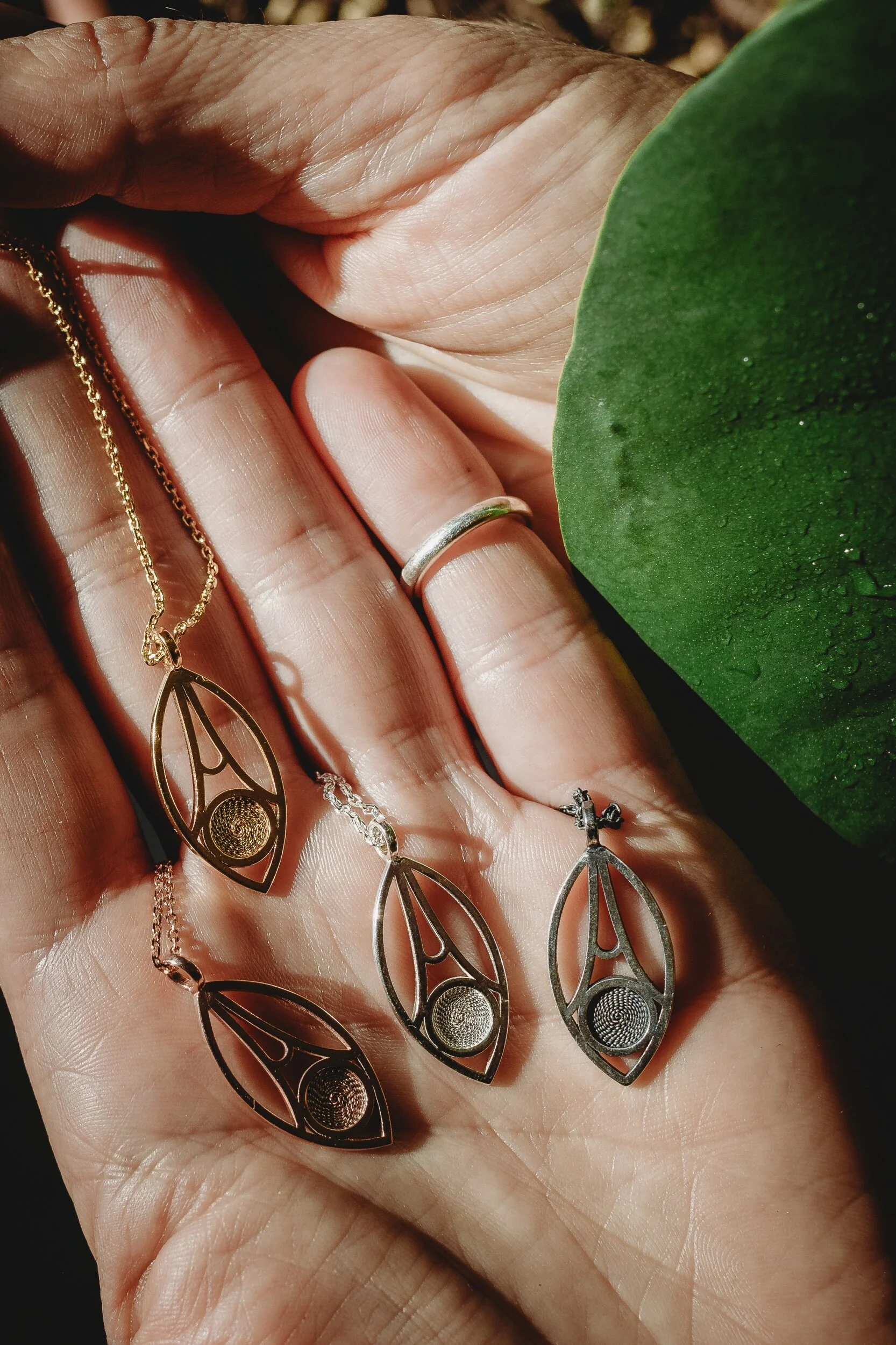 ABE7A543-2533-46B9-91A4-73F5E1774BC4