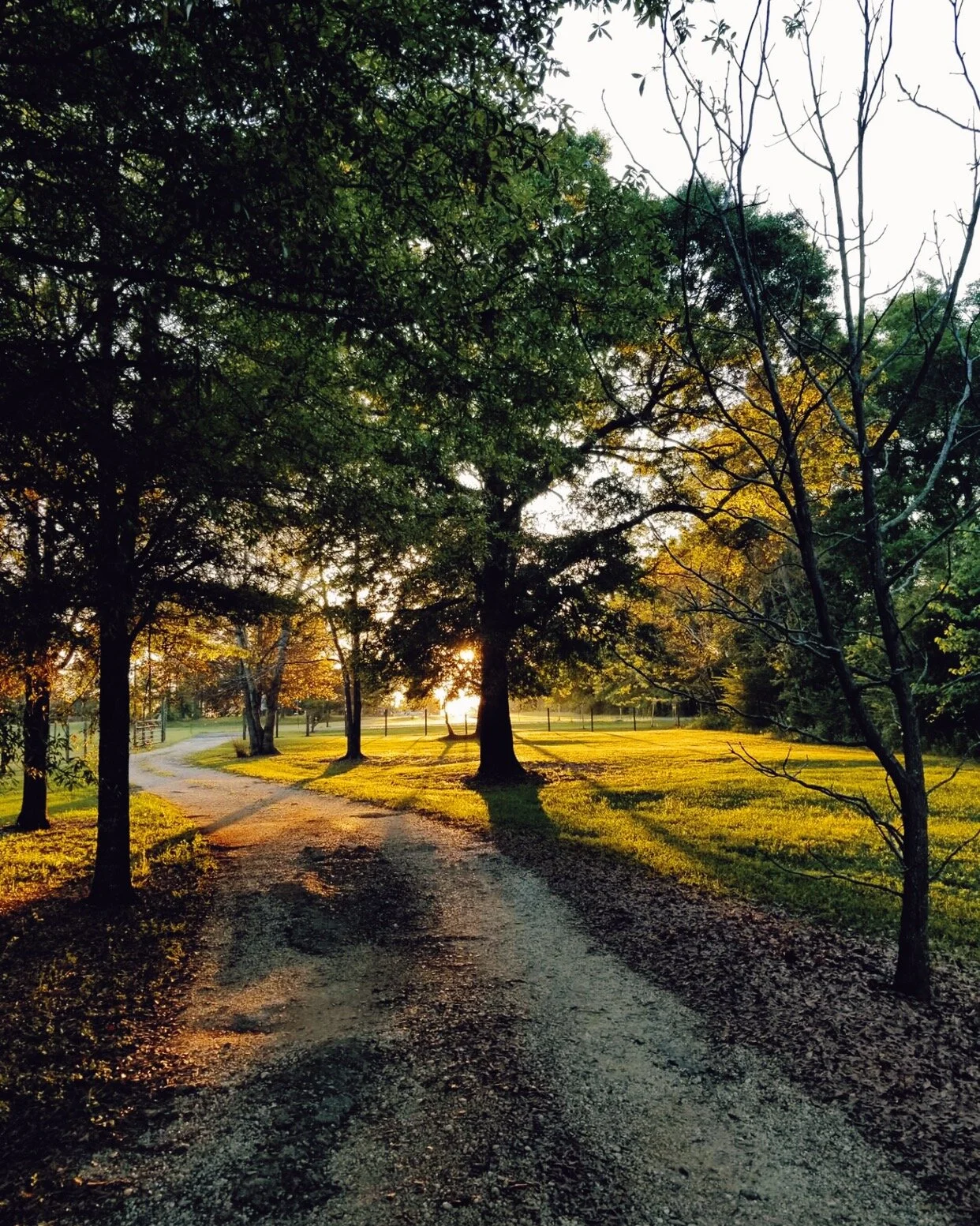 Praying Annie's Song