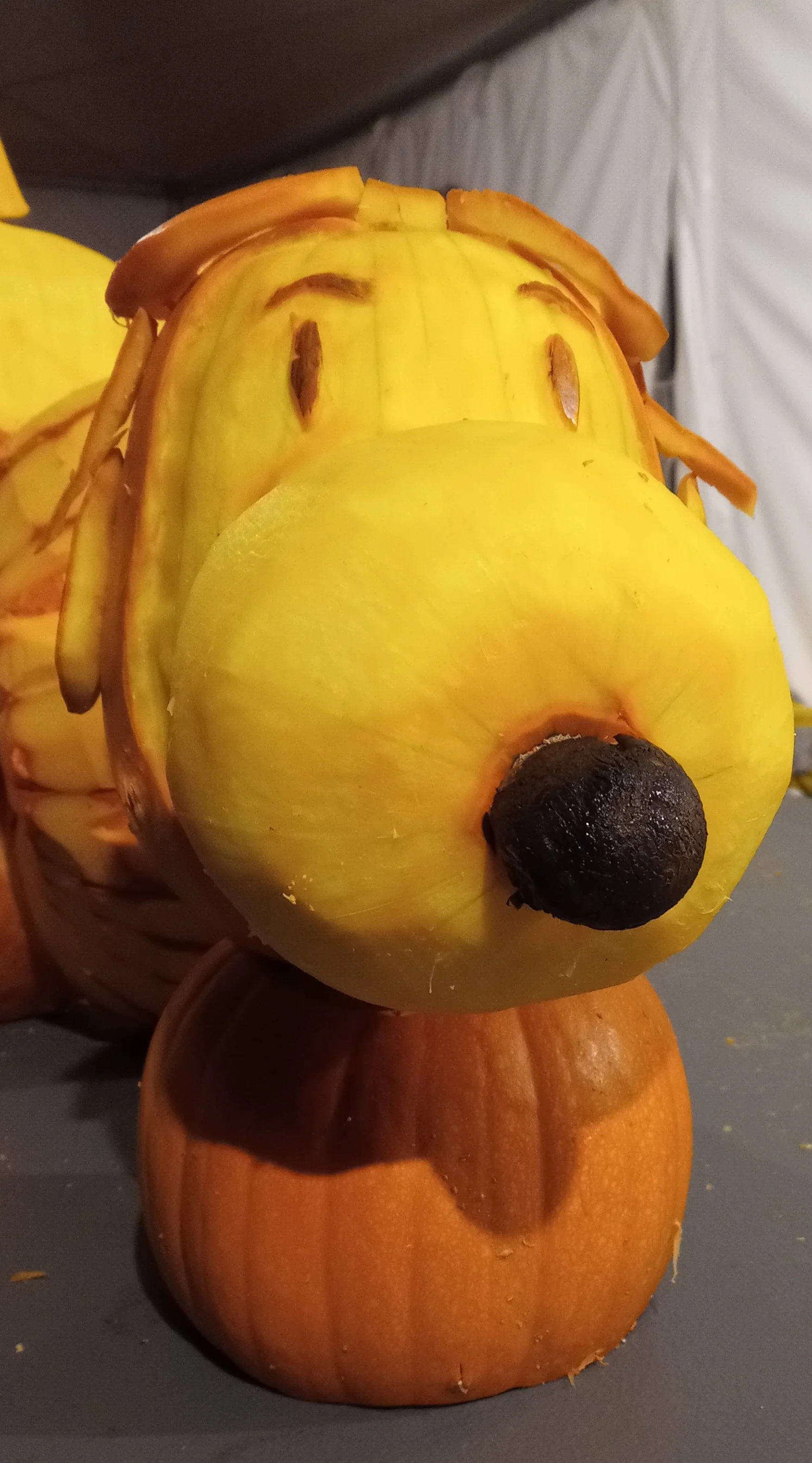 carved pumpkin of Snoopy Aviator from Charlie Brown Cartoon