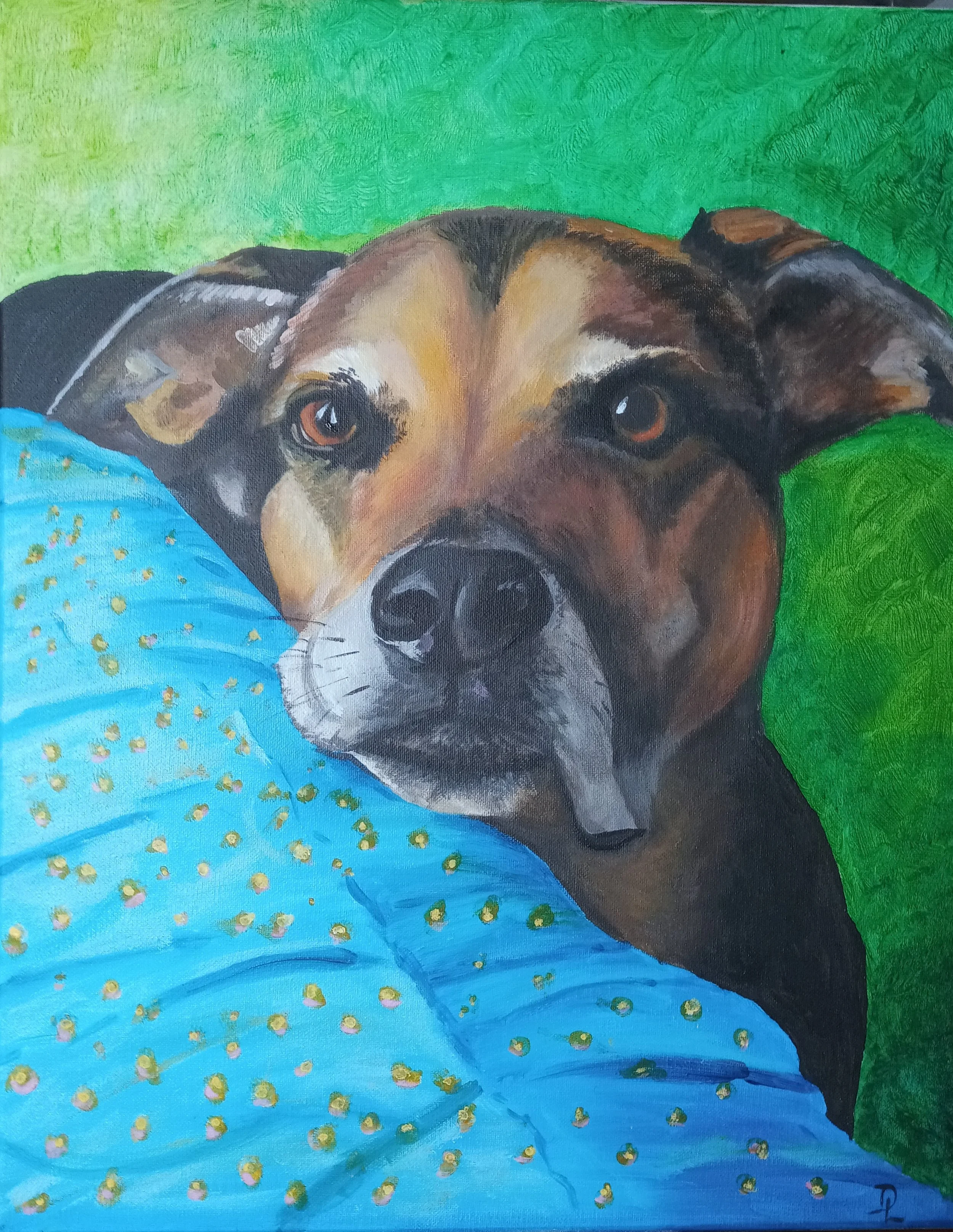 painting dog pet portrait acrylic on canvas german shepherd puppy dog eyes