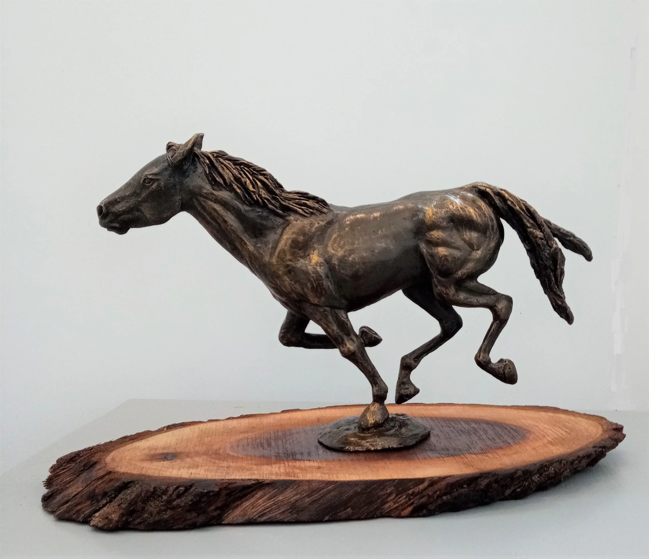 Fierce (Cold Cast Bronze Resin on Walnut Board)