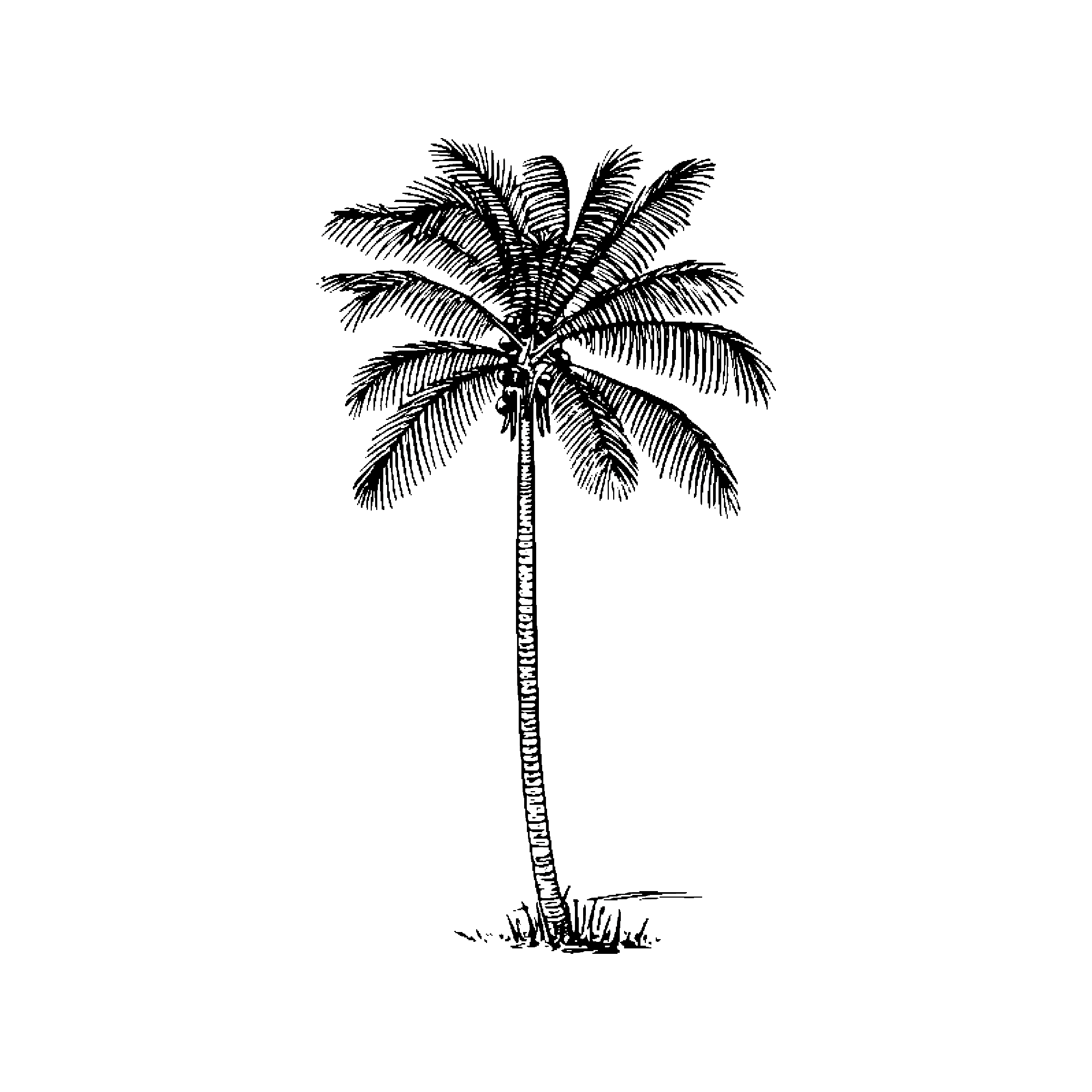 7017_50.png