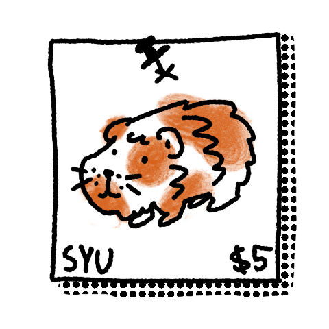 IMG_2615.PNG