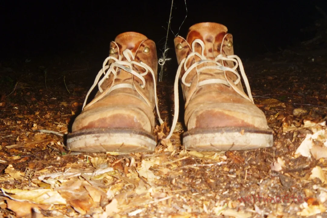 13 03. September Hagenburg.jpg