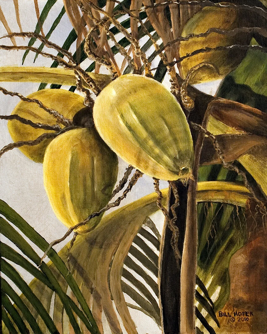 "Coconuts Up Close" Bill Hofer