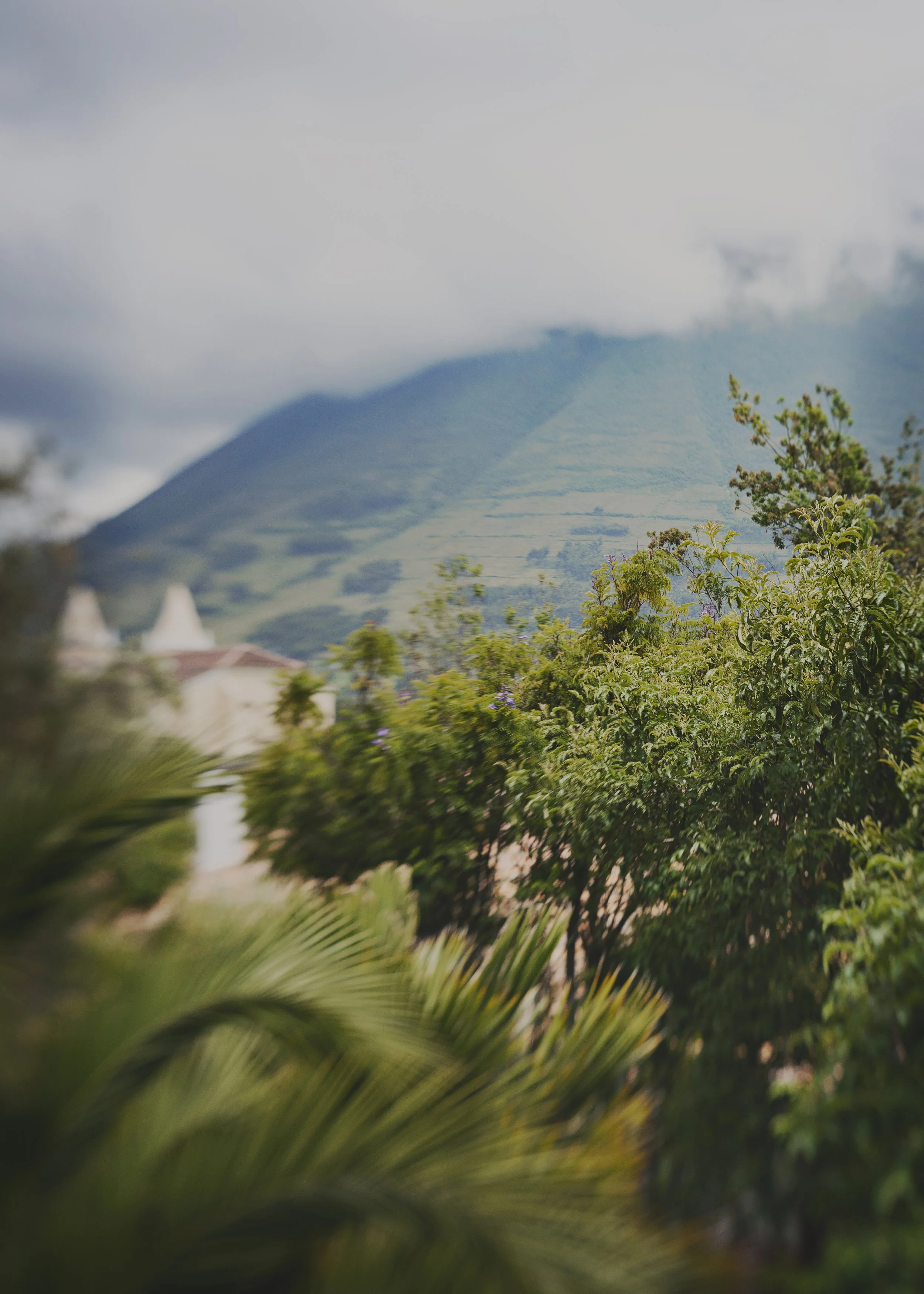 Hacienda Cusin_0153Dylan5x7.jpg