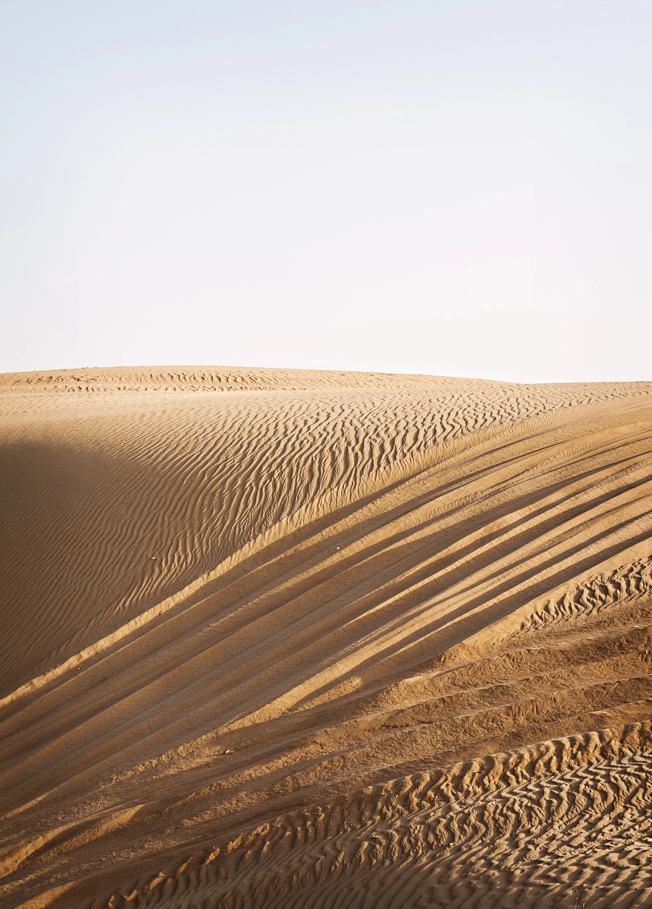 CPP Shape Texture 3.jpg