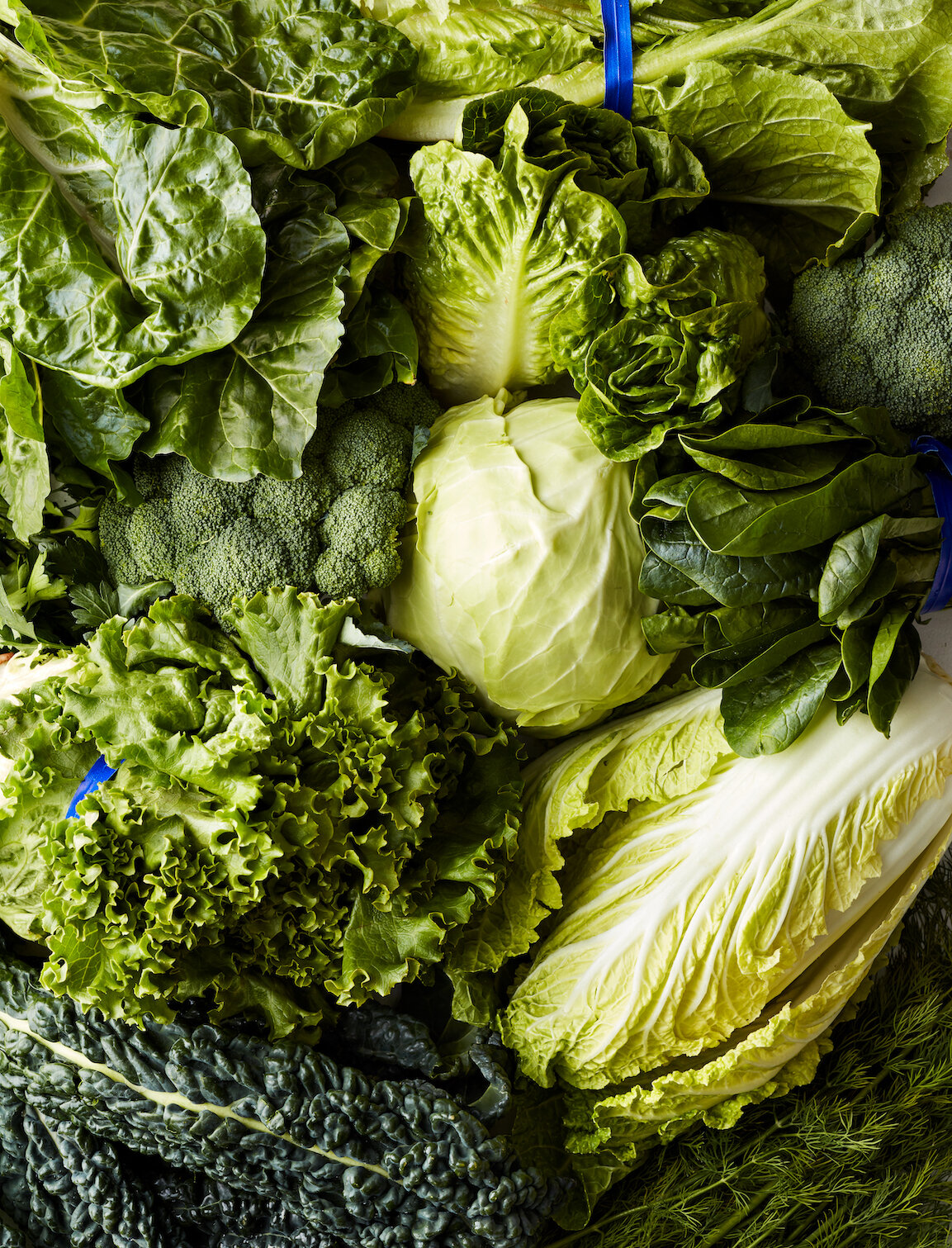 Veg still life 3243_Greens_0231.jpg