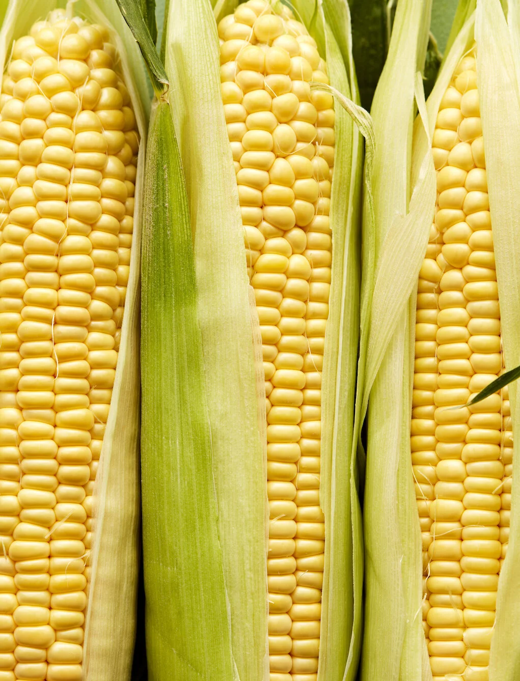 veg-corn.jpg
