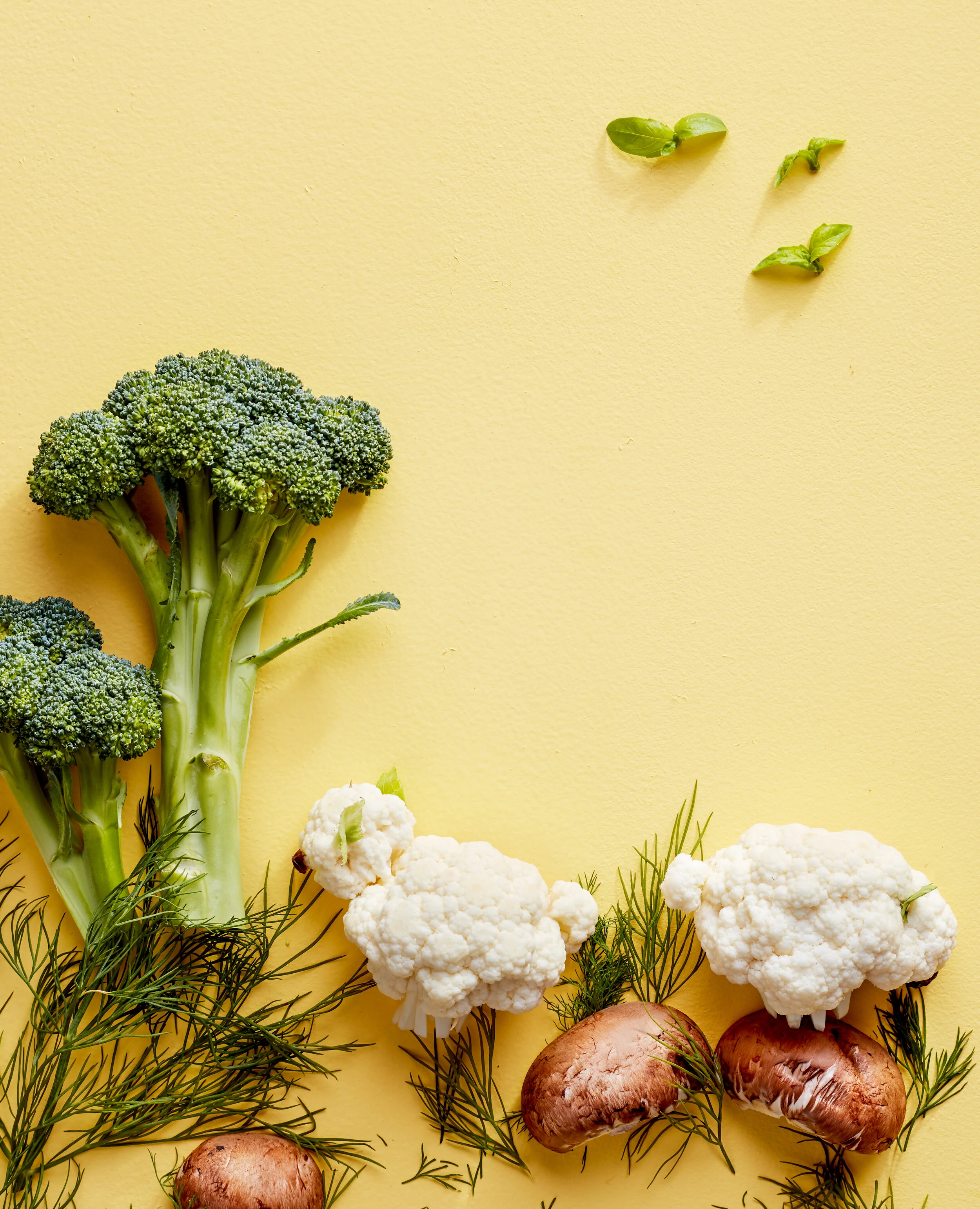 Foodsheep sceneEWeitala_KidChefJrEveryday_FoodSheepTree_40004.jpg