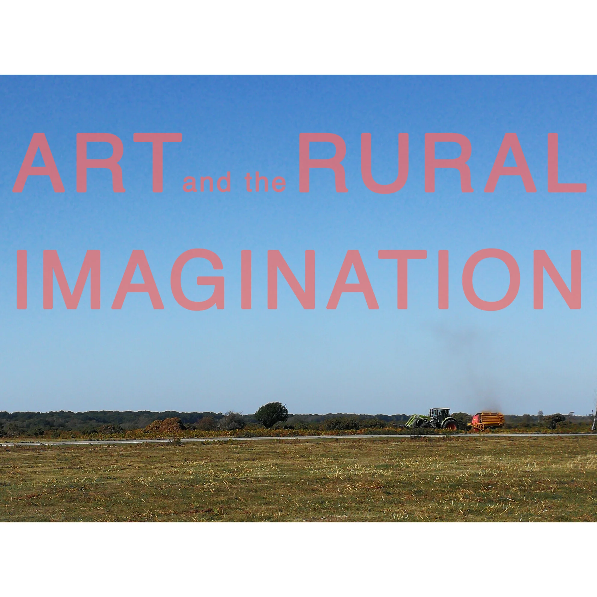  Art and the Rural Imagination  