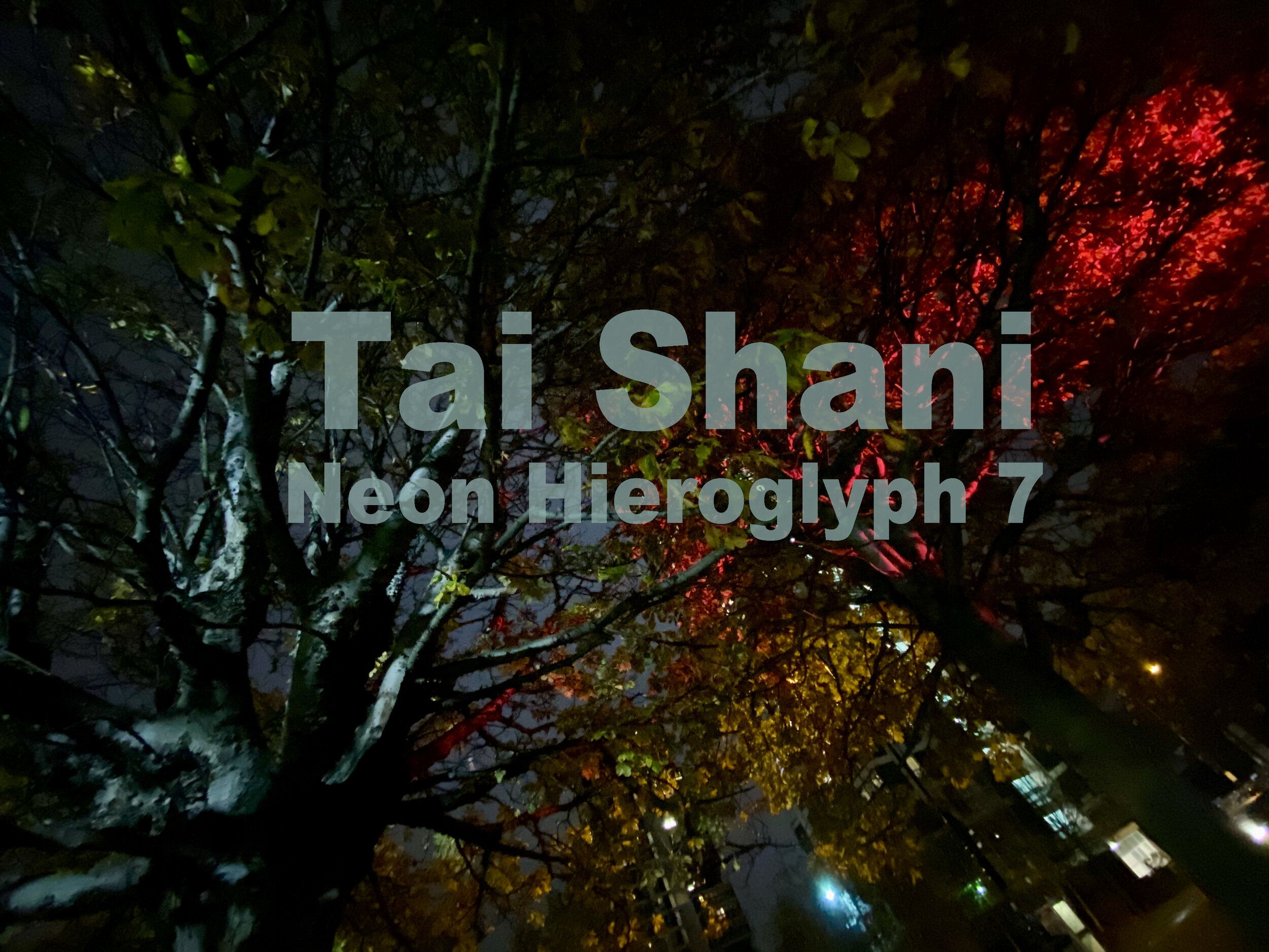 Candlelit Launch: Tai Shani's Neon Hieroglyph 7