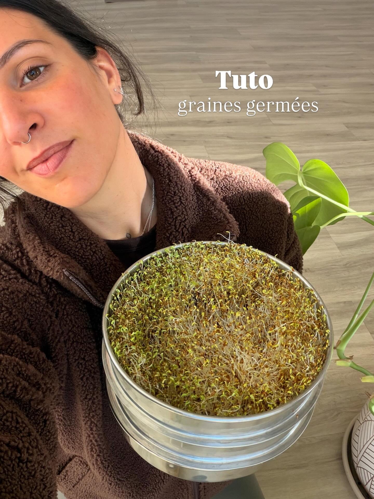 Tuto graines germ&eacute;es 🌱

Tellement simple, tellement bon, tellement vivant 💚

Vous pouvez acheter des graines &agrave; germer ou tout simplement acheter des lentilles ou des pois chiches sec ! 

&Agrave; consommer sans mod&eacute;ration, en s