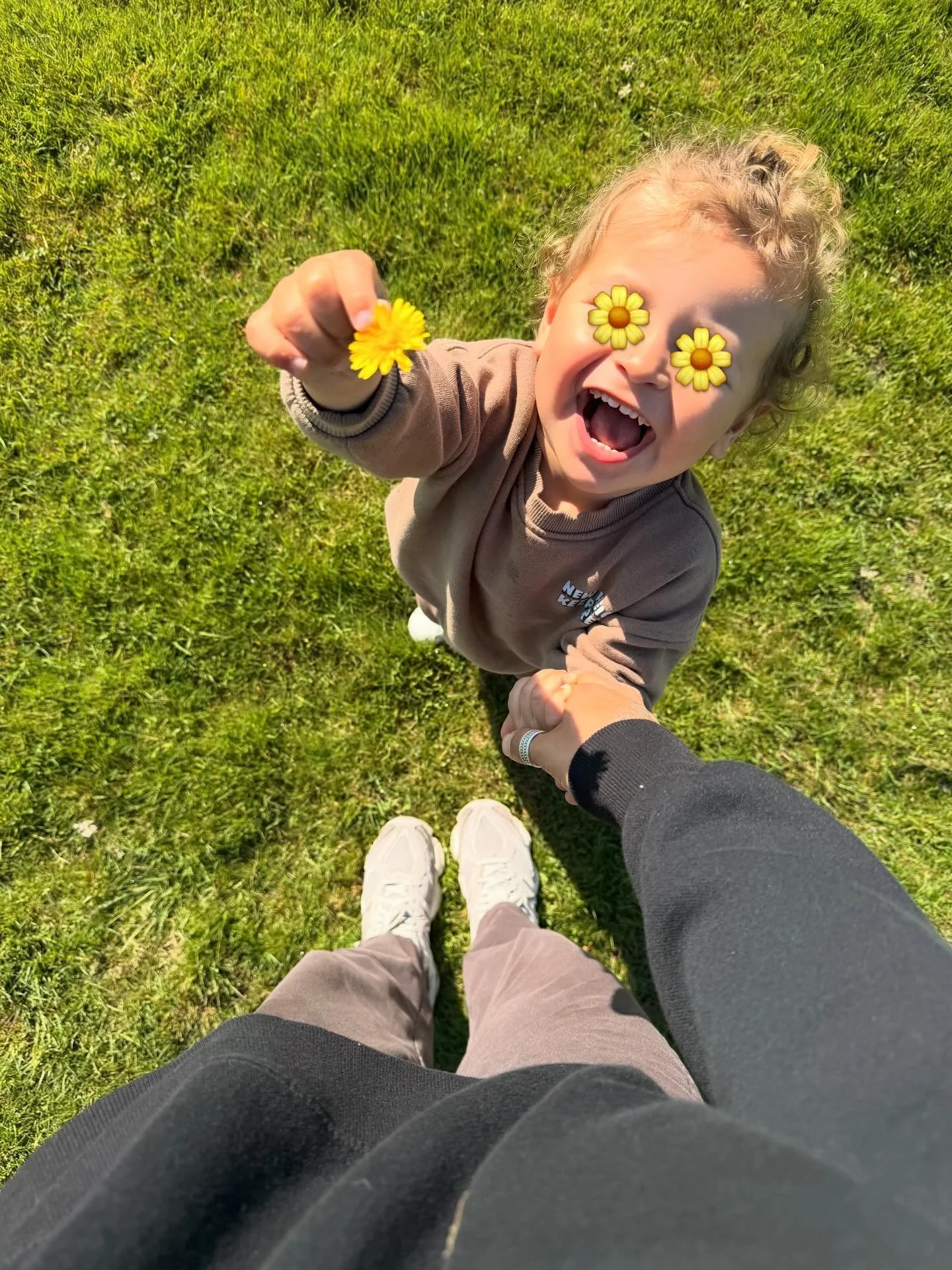 Bonne ann&eacute;e 🌼🌸🌷🌻☀️🐎