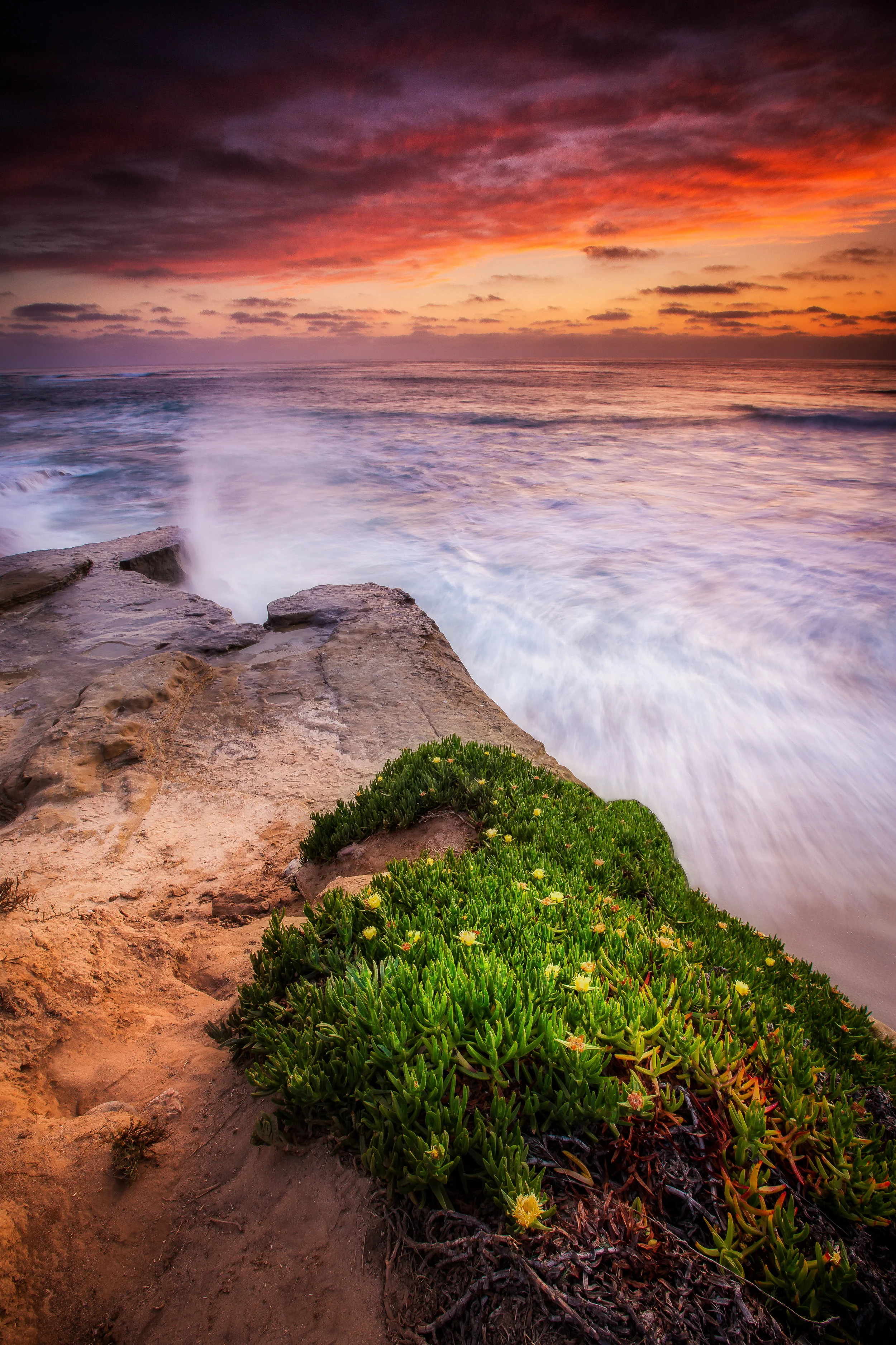 LaJolla.jpg