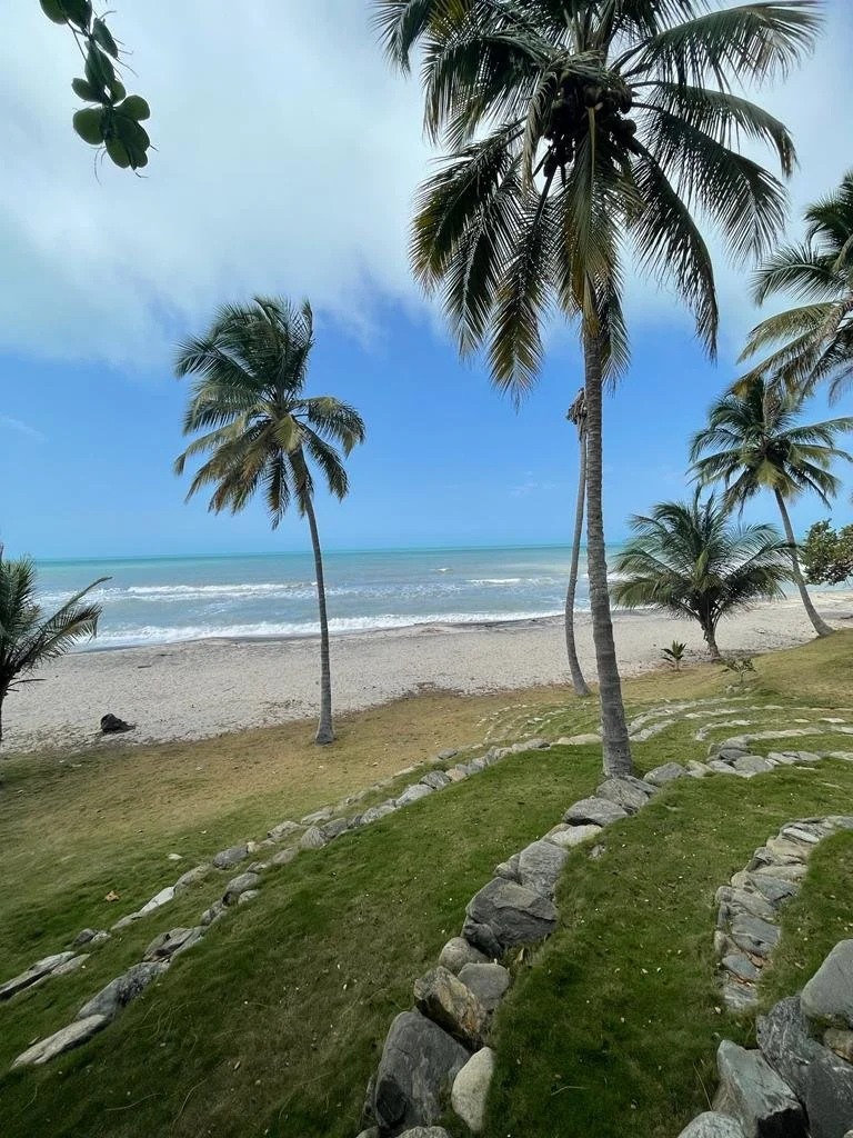 WhatsApp Image 2022-12-17 at 6.59.06 PM.jpeg