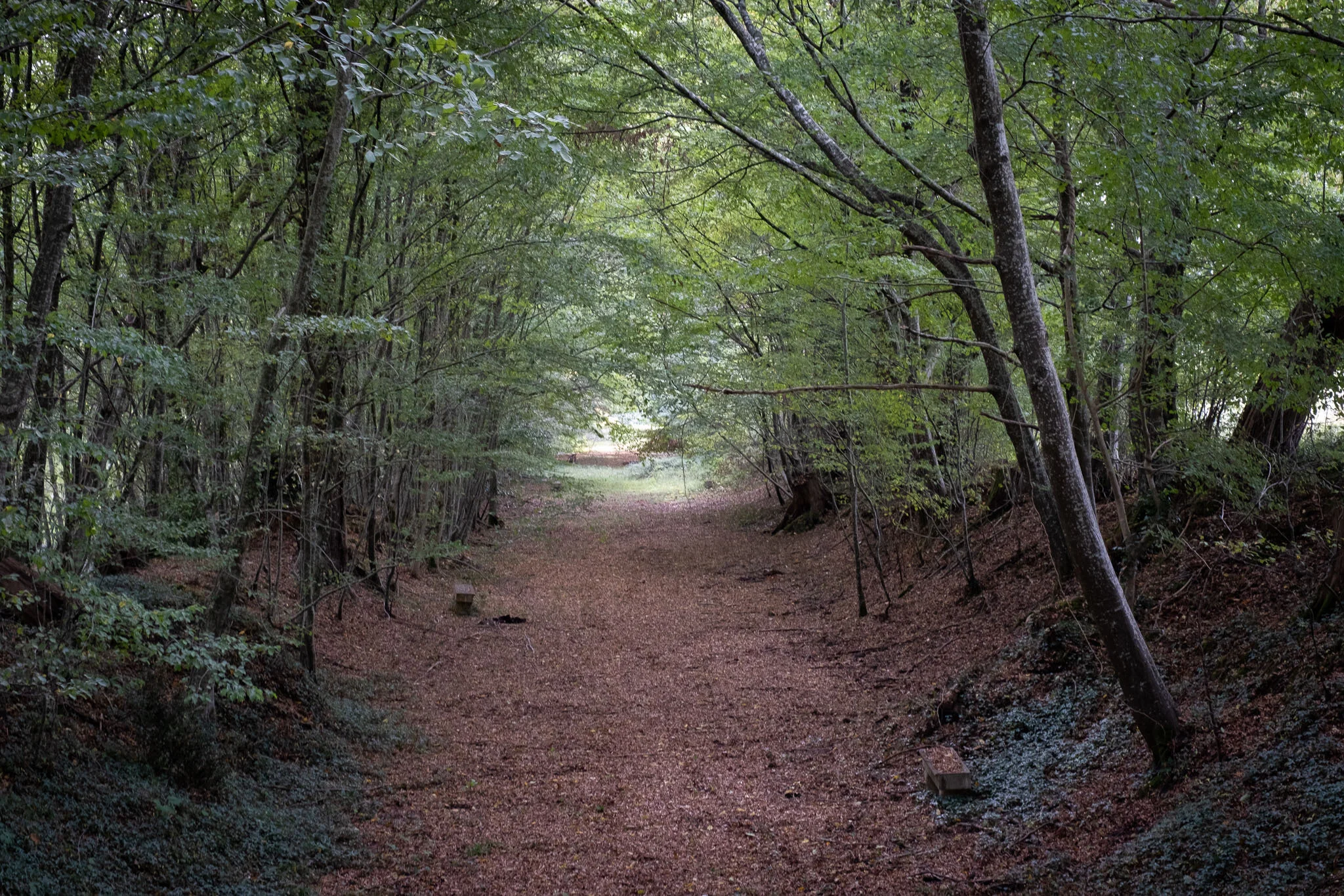 Chateau L'Eveque-3.JPG