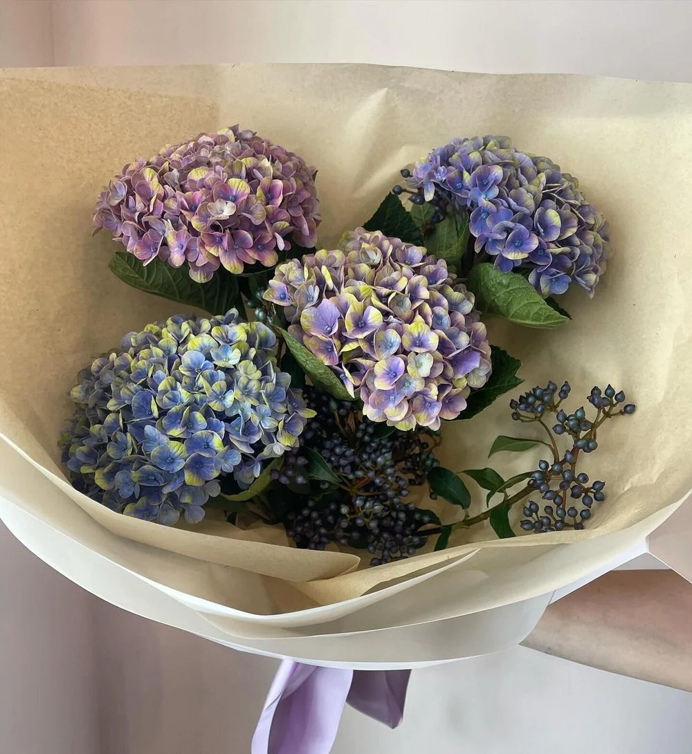 image-asset (4).jpeg