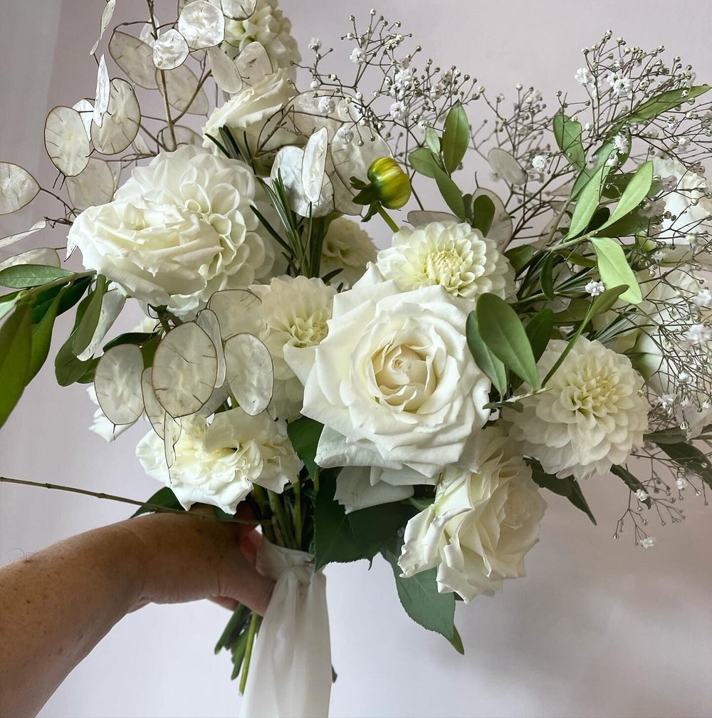 image-asset (3).jpeg