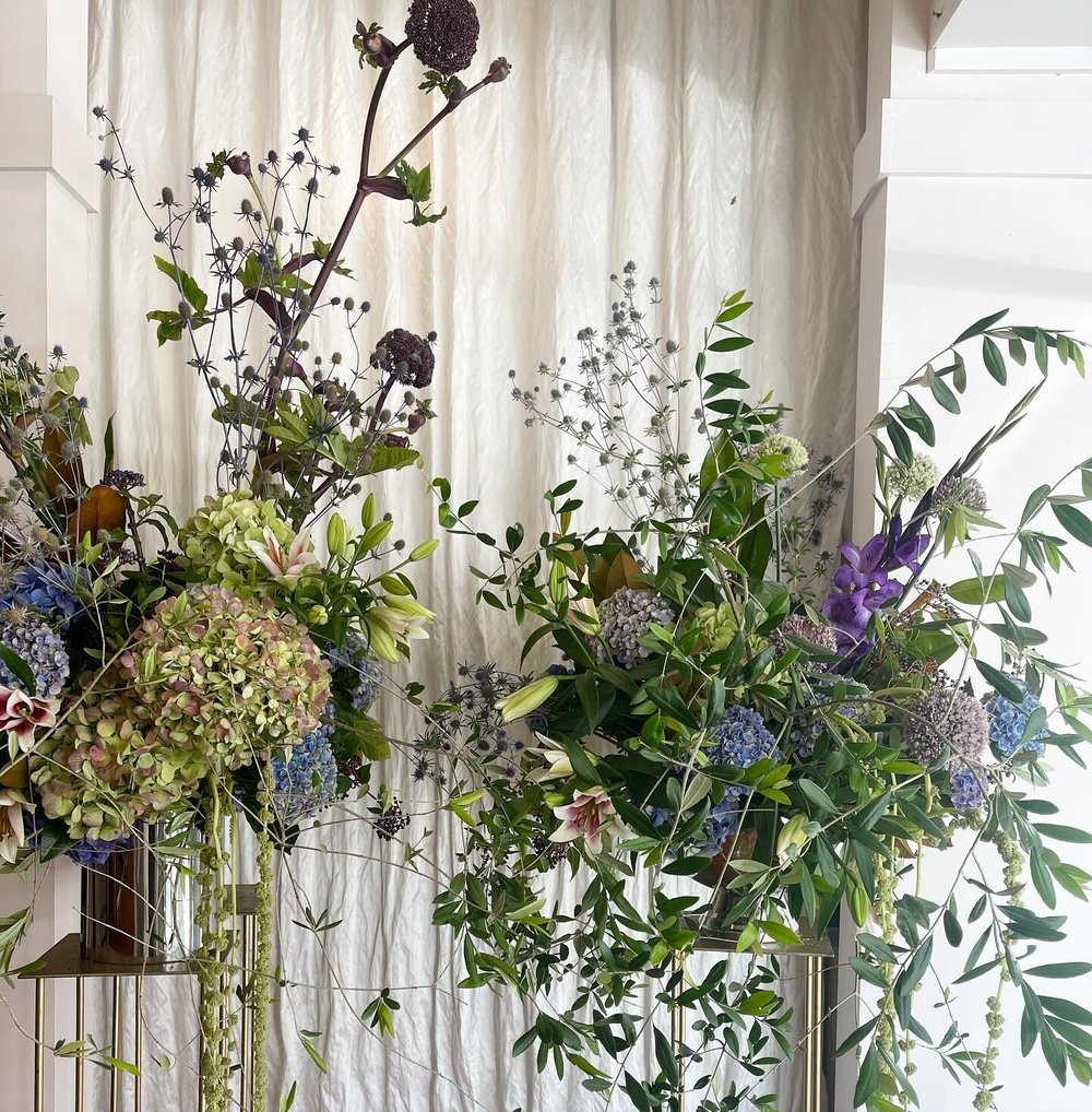 image-asset (2).jpeg