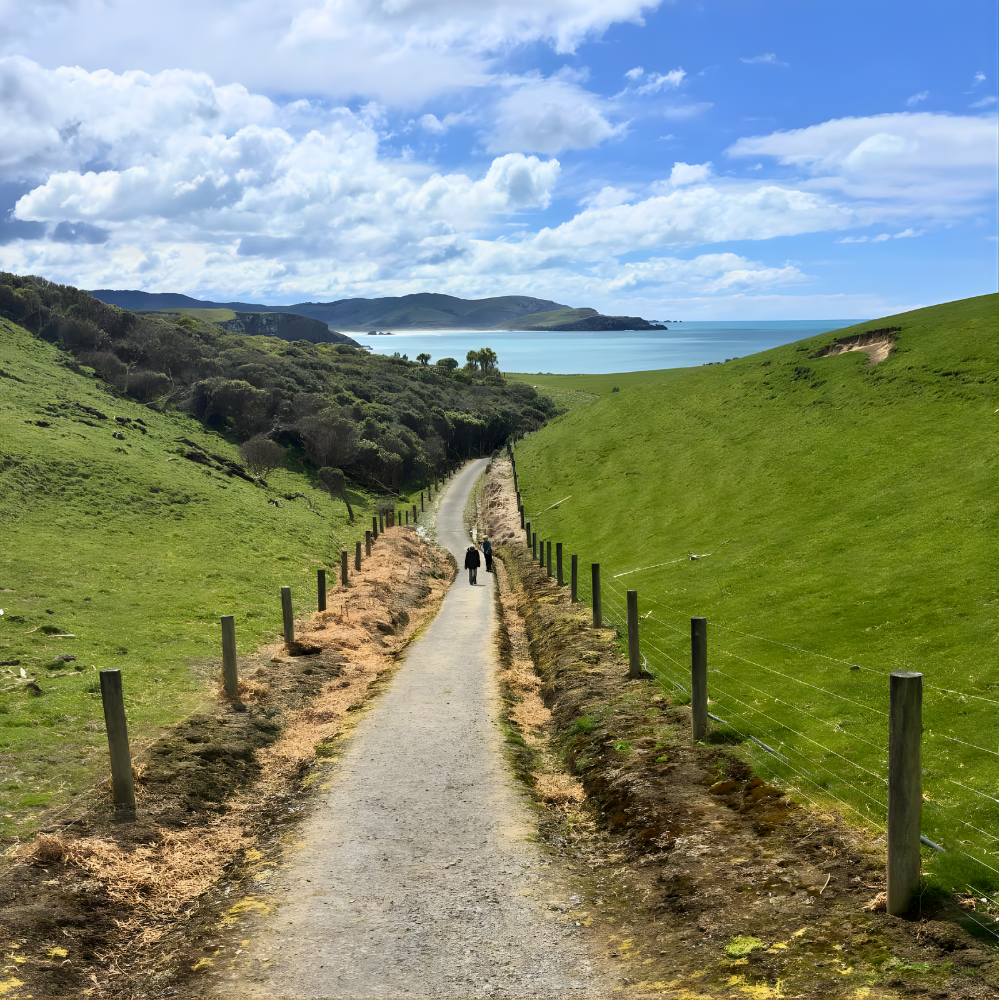 Track Venture NZ
