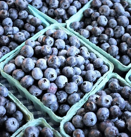Blue Willow Blueberries
