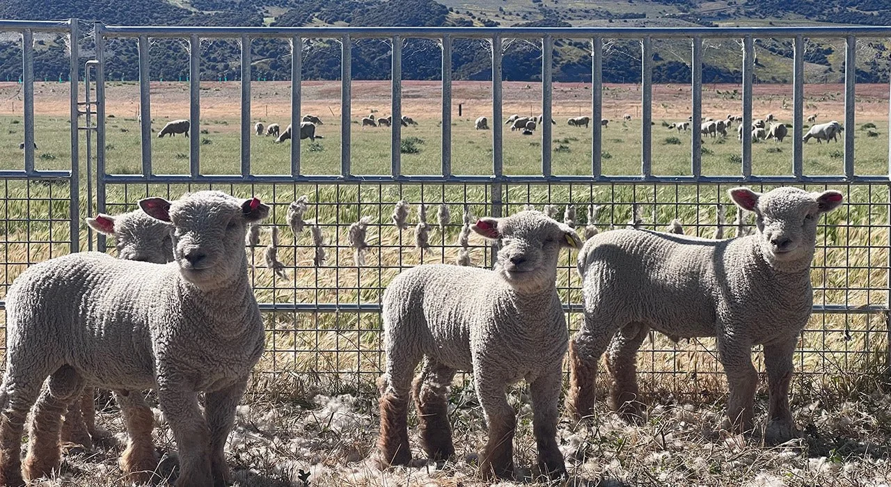 Penkridge Farm2.jpg