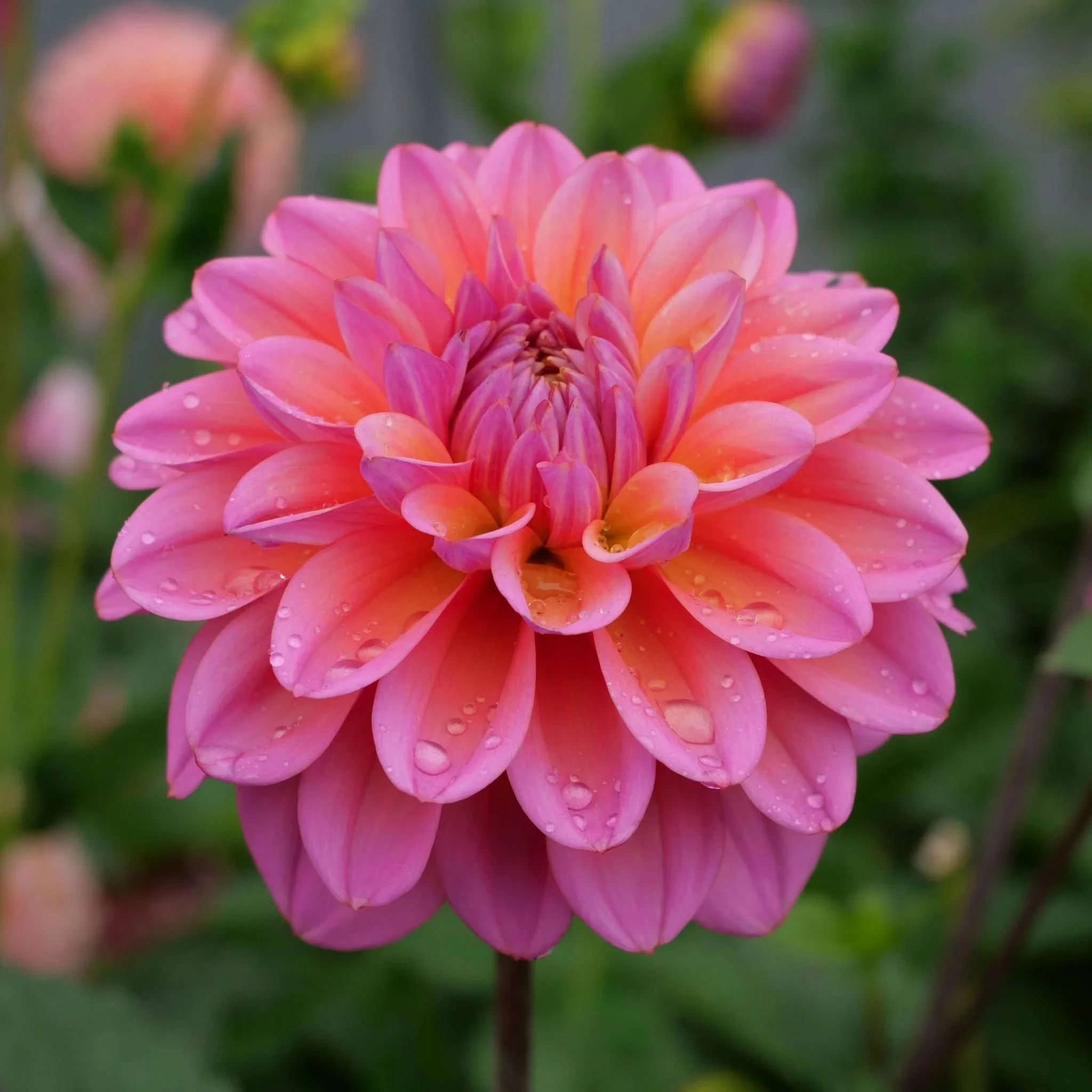 great-silence-908365_5760x.webp