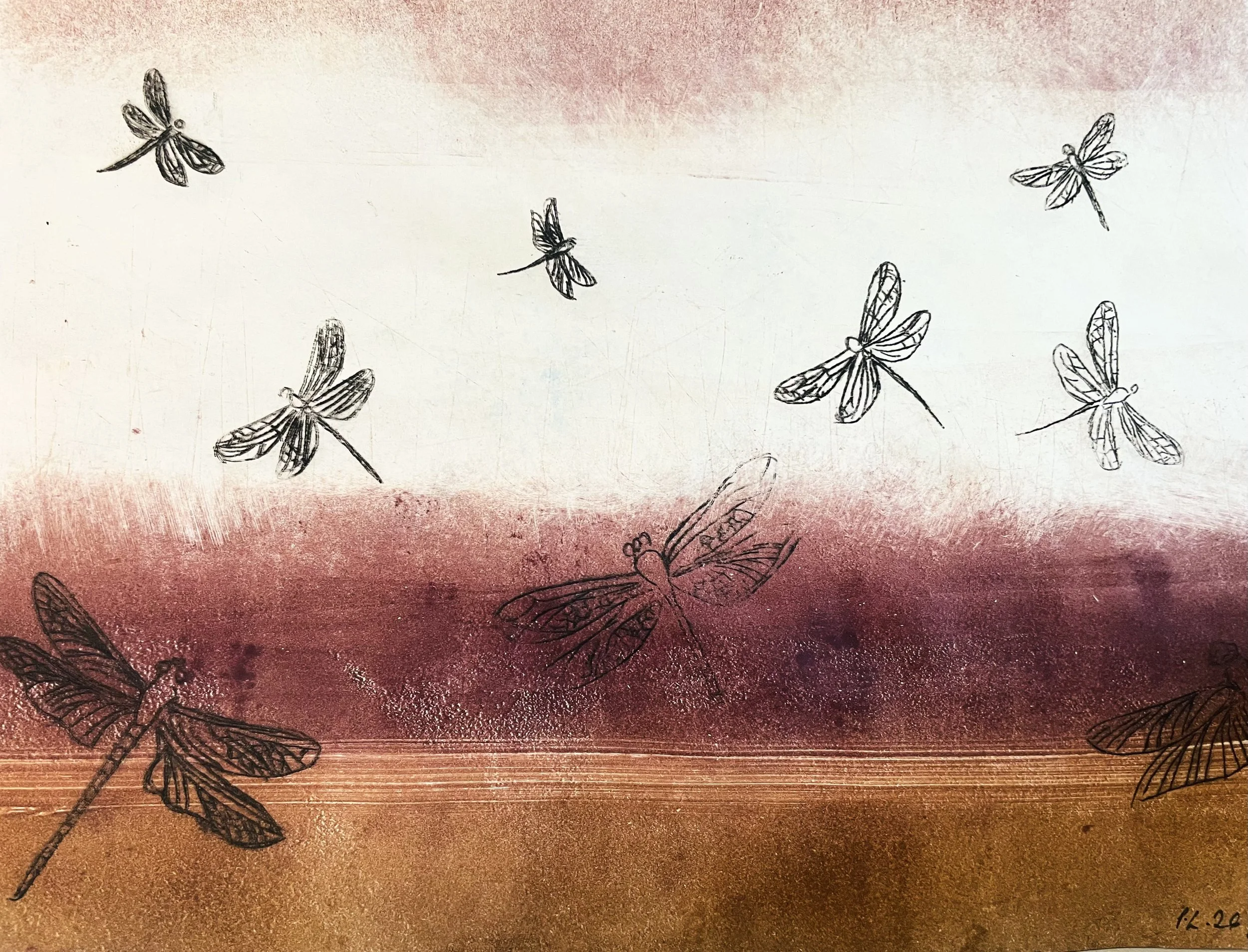 dragonfly forest 3.jpeg