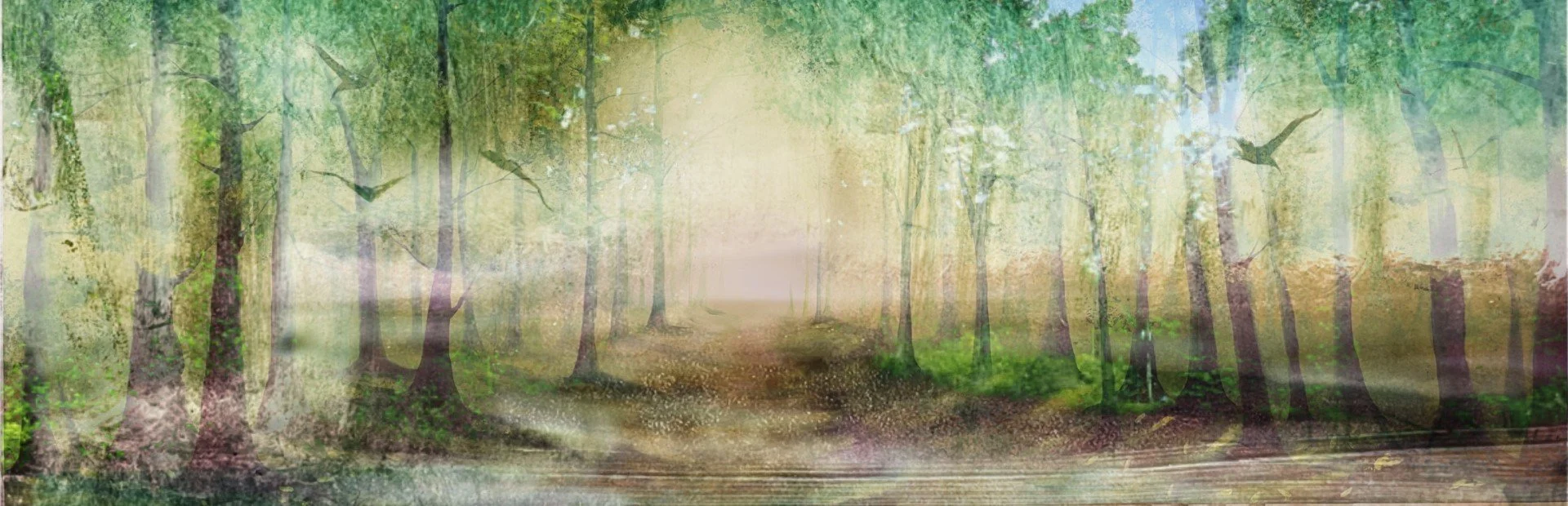 forest dereche summer neutral.jpeg