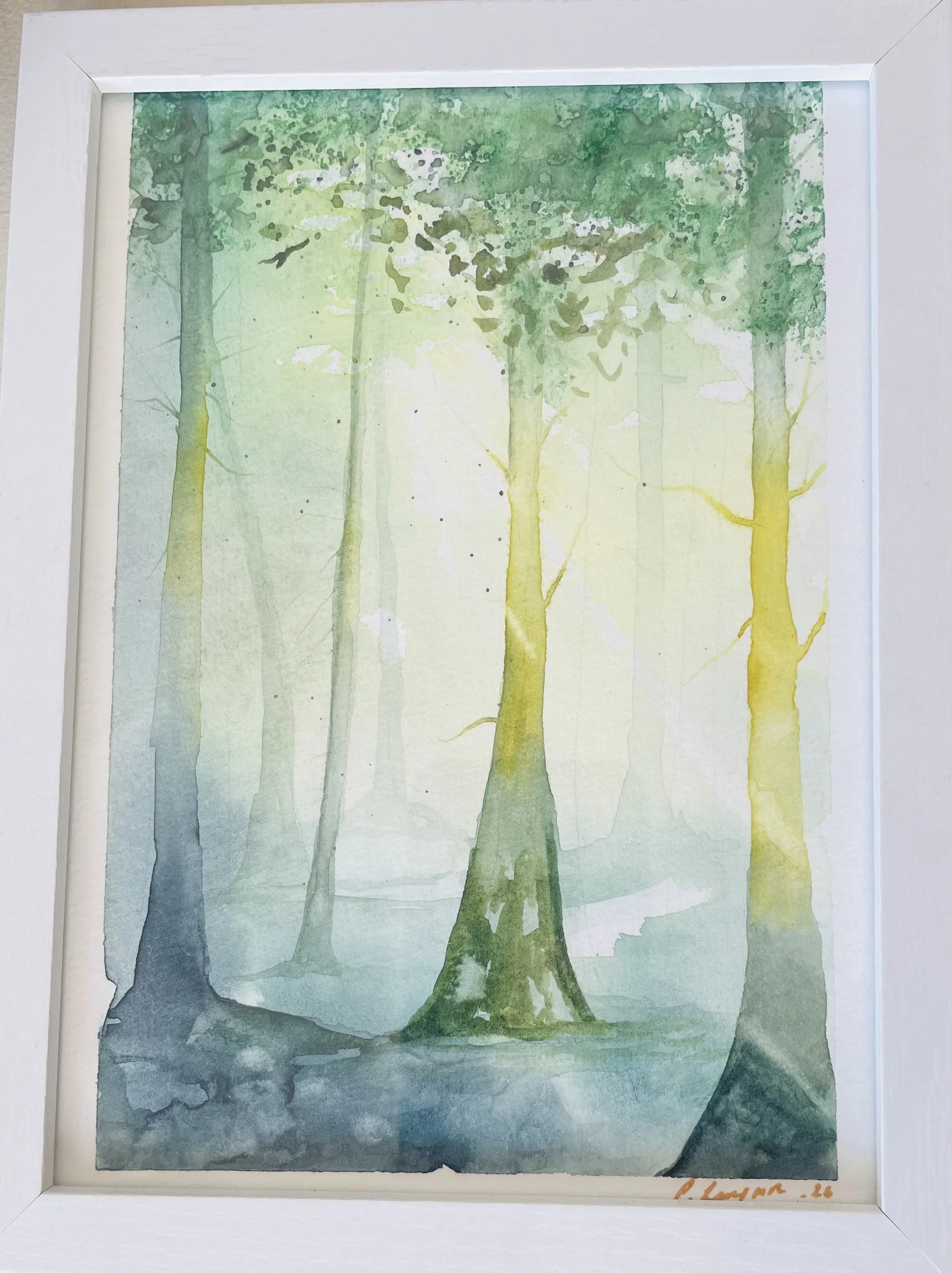 emerald forest framed.jpeg