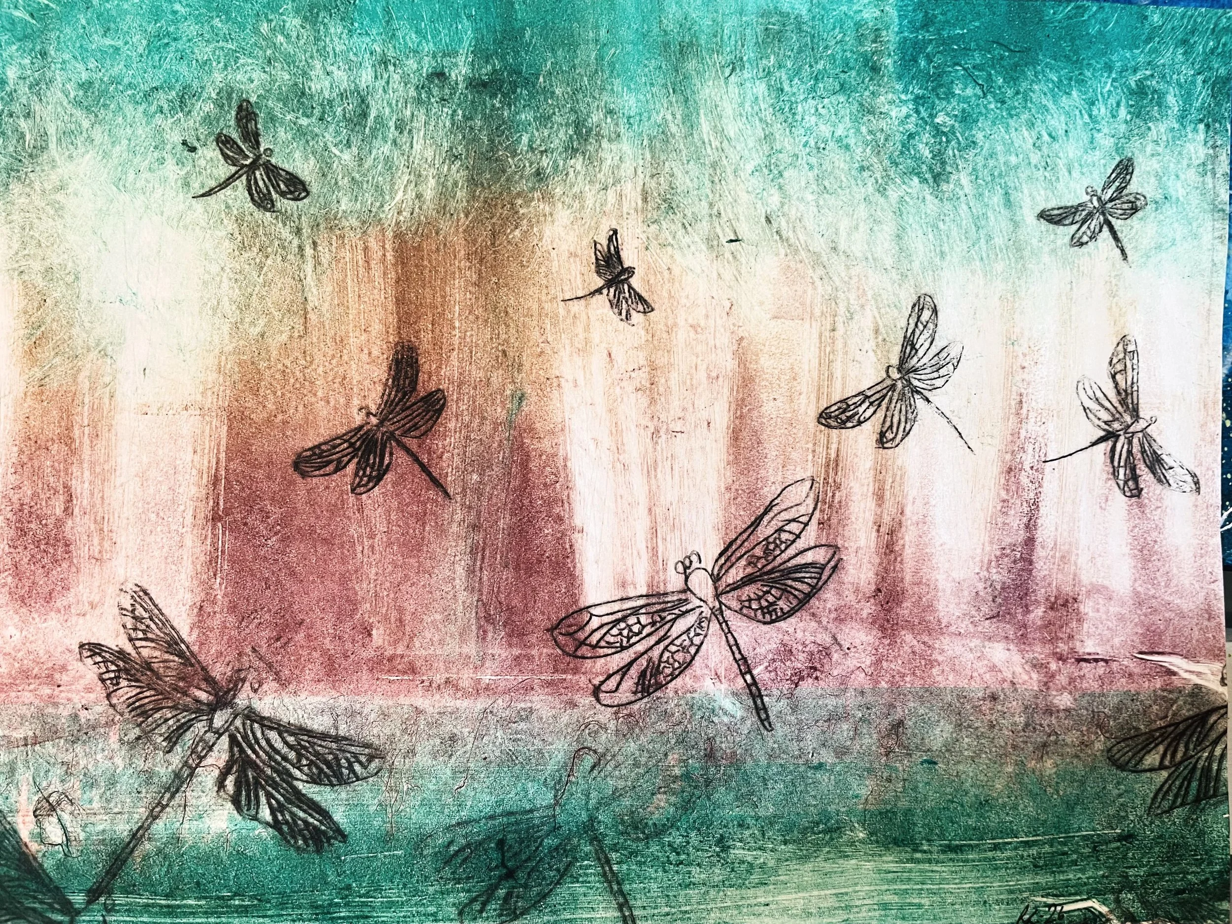dragonfly pond 3.jpeg