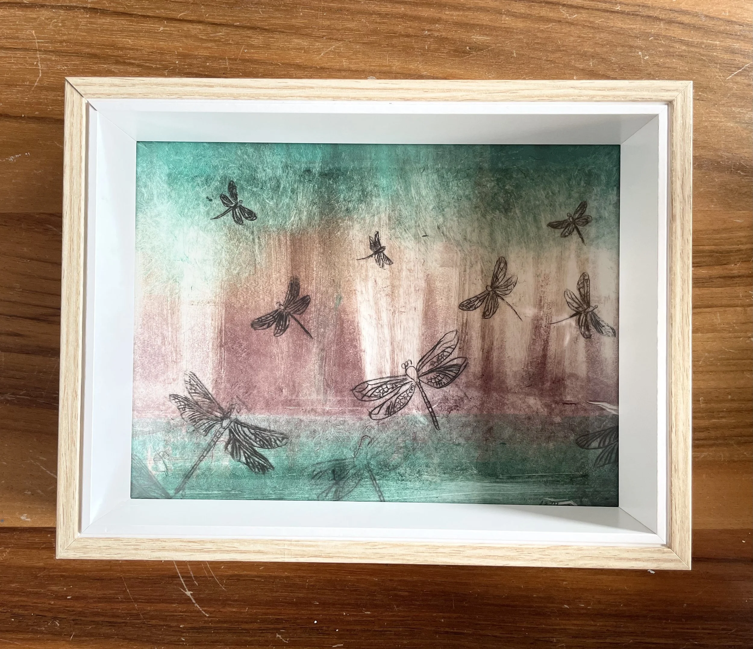 Dragonfly pond 2.jpeg