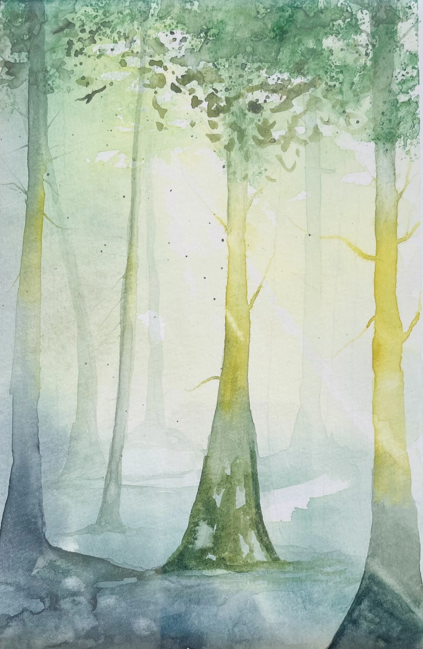 emerald forest not framed.jpeg