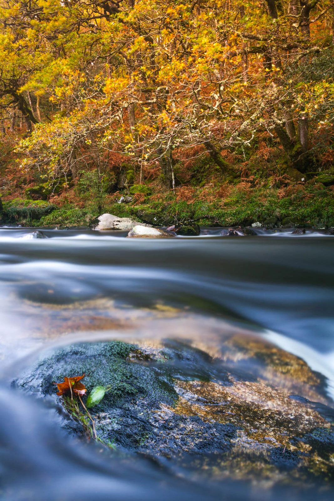 Autumn Dartmoor River - Philip Edwards Photography.jpg