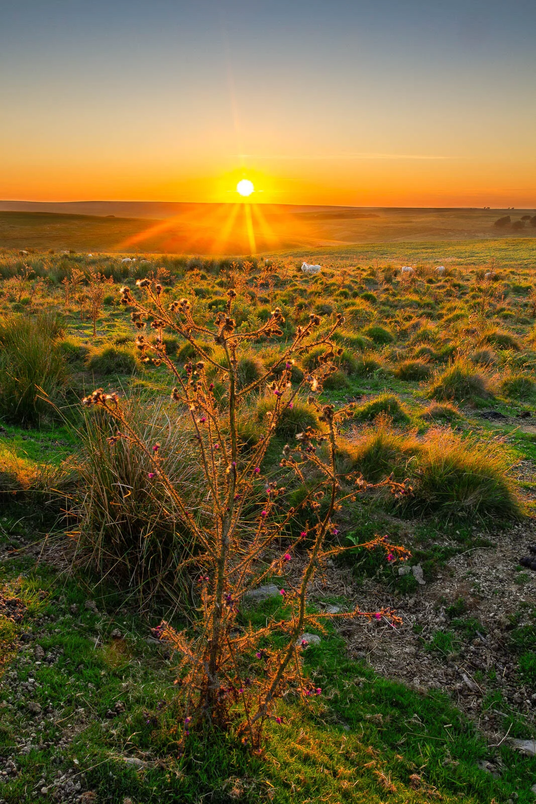 Exmoor sunset Philip Edwards Photography.jpg