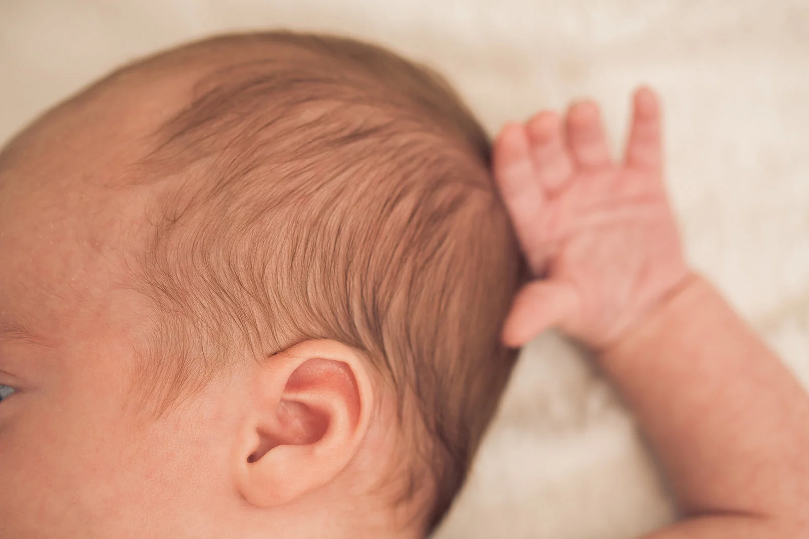 Sebastien_Newborn-19.jpg