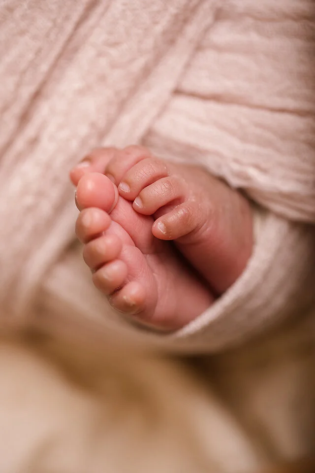 Dream Newborn-9_small.jpg