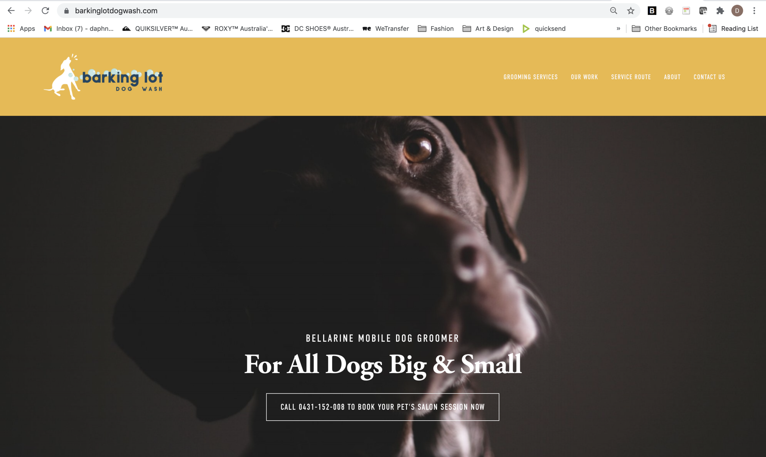 Barking Lot Dog Wash - Website, Design & Copywriting