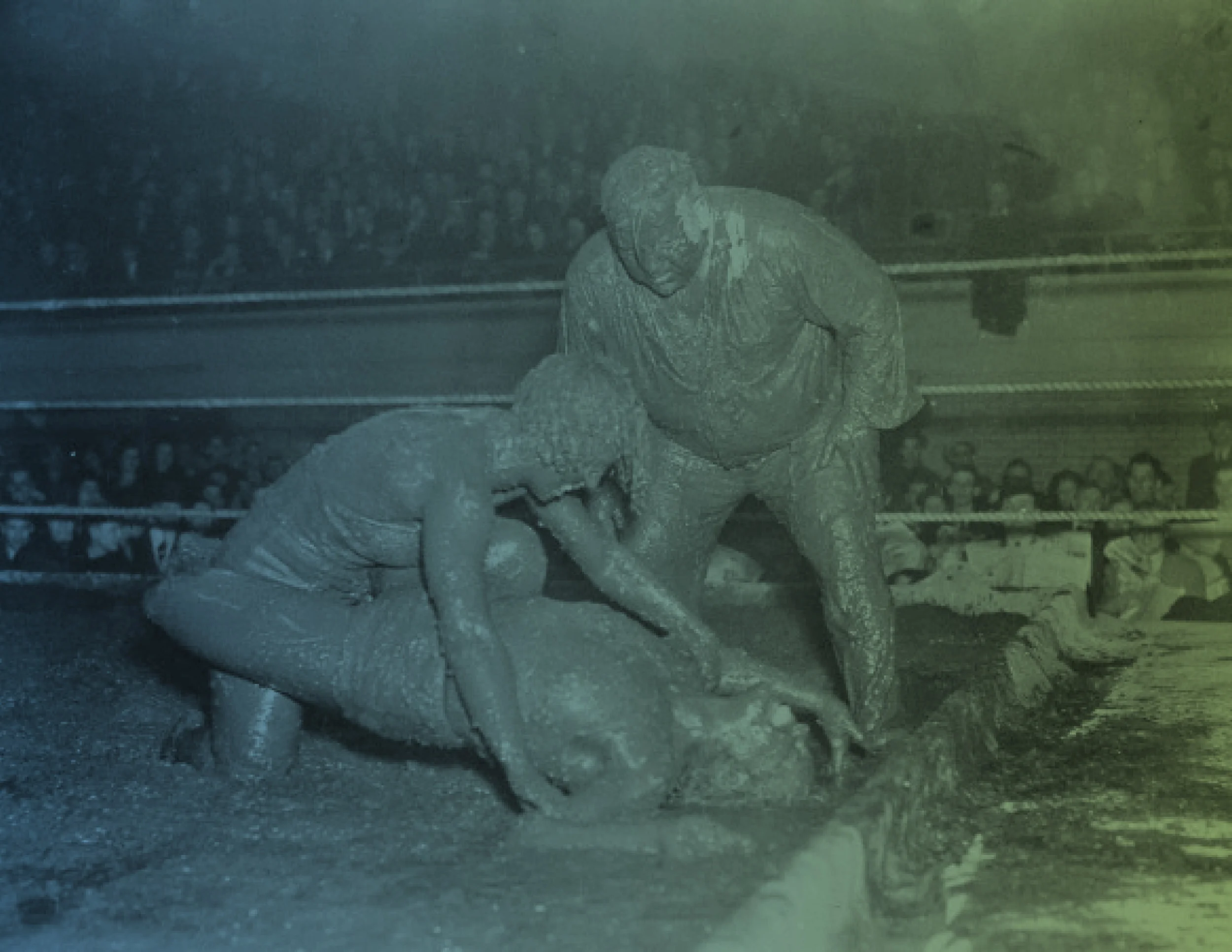 Mudfight.jpg