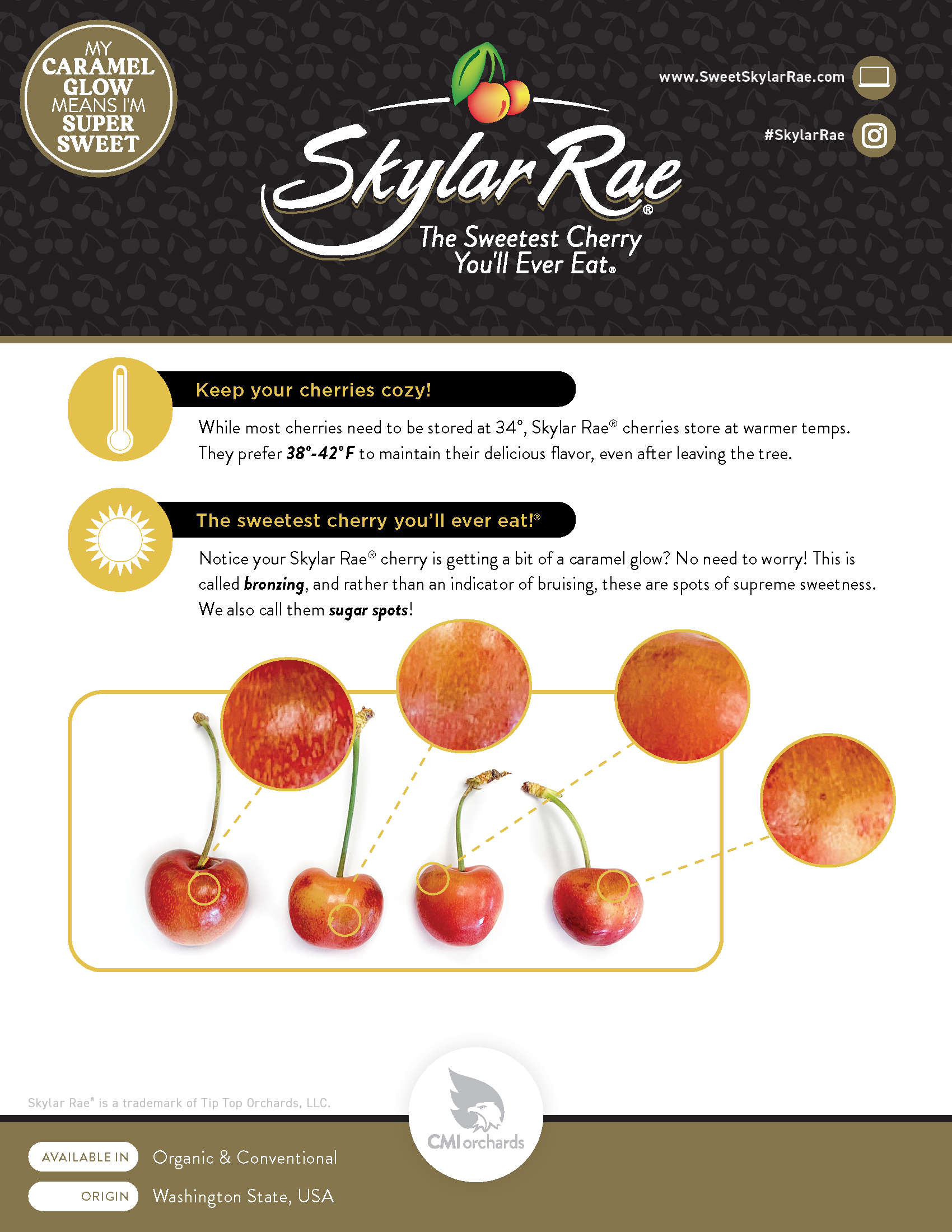 Skylar_Rae-Sales_Sheet-Spec_Sheet-2026-3_Mar-PG2.png
