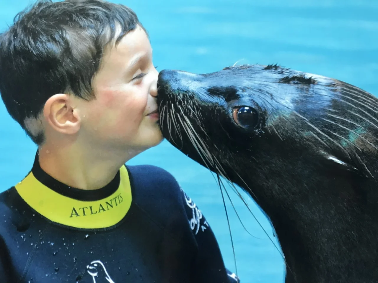 Levi and Seal.jpg