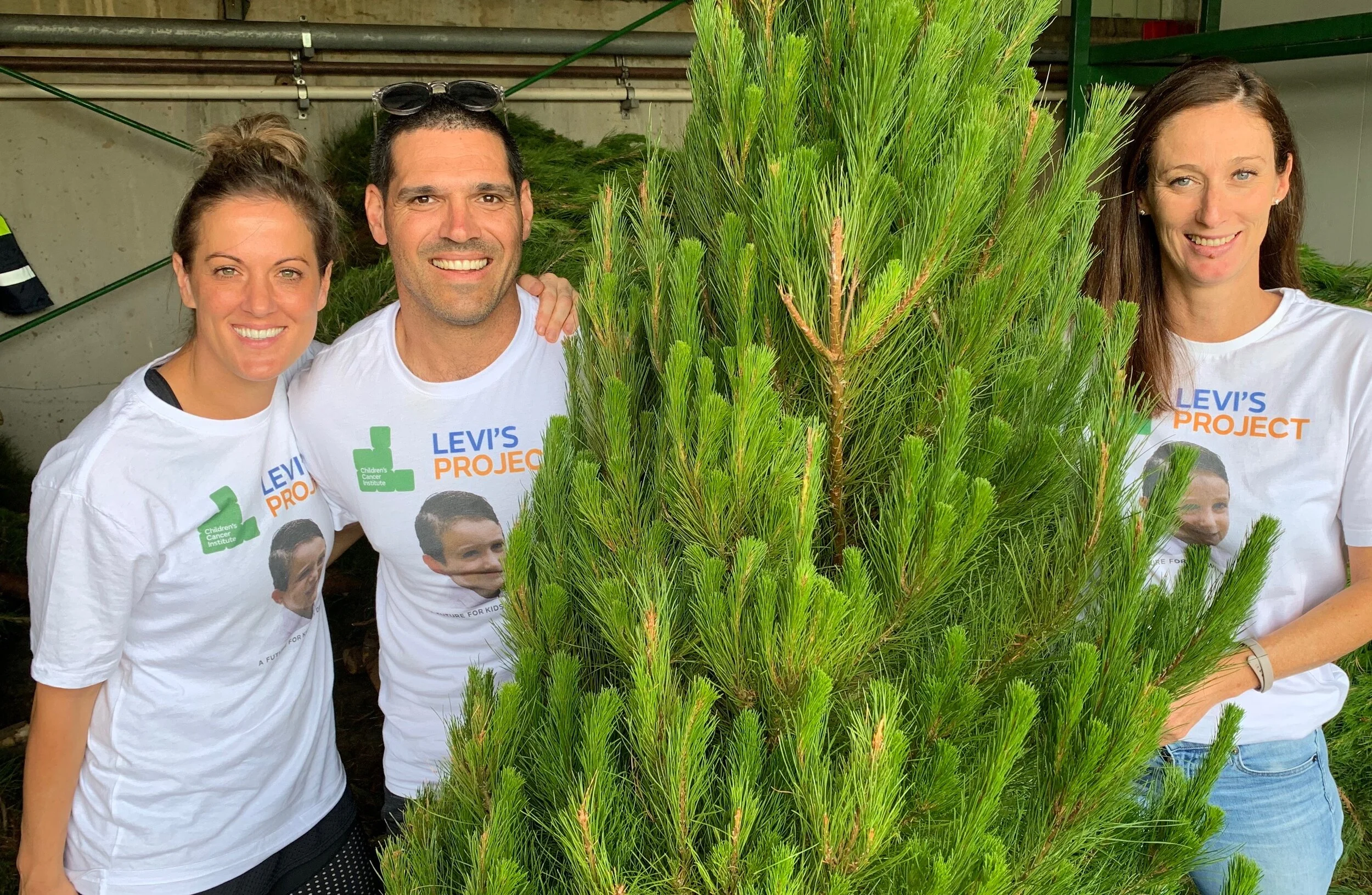 Chrissy trees for a cause